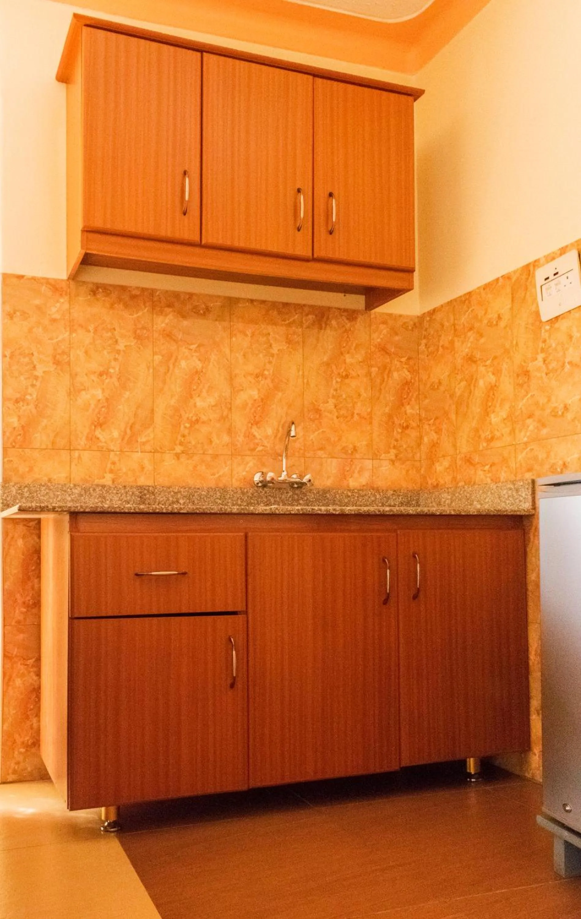 Kitchen or kitchenette in Olina Hotel and Apartments Kampala