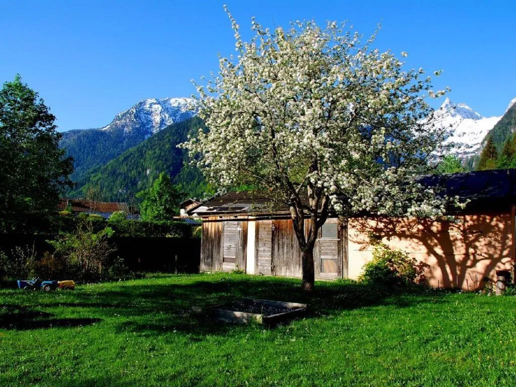 Garden in Haus Stainer