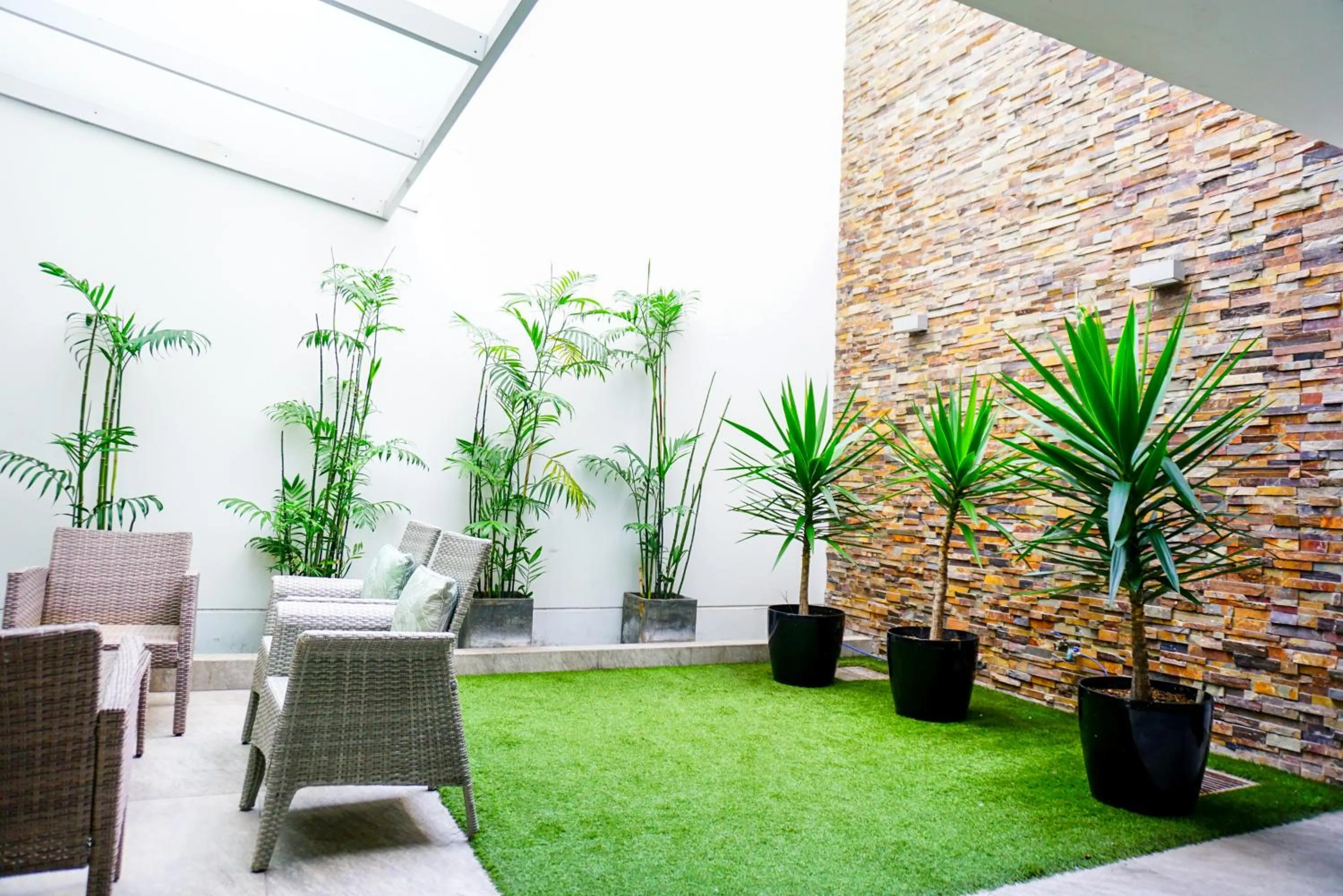 Garden in Apart Hotel Petit Palace Suites