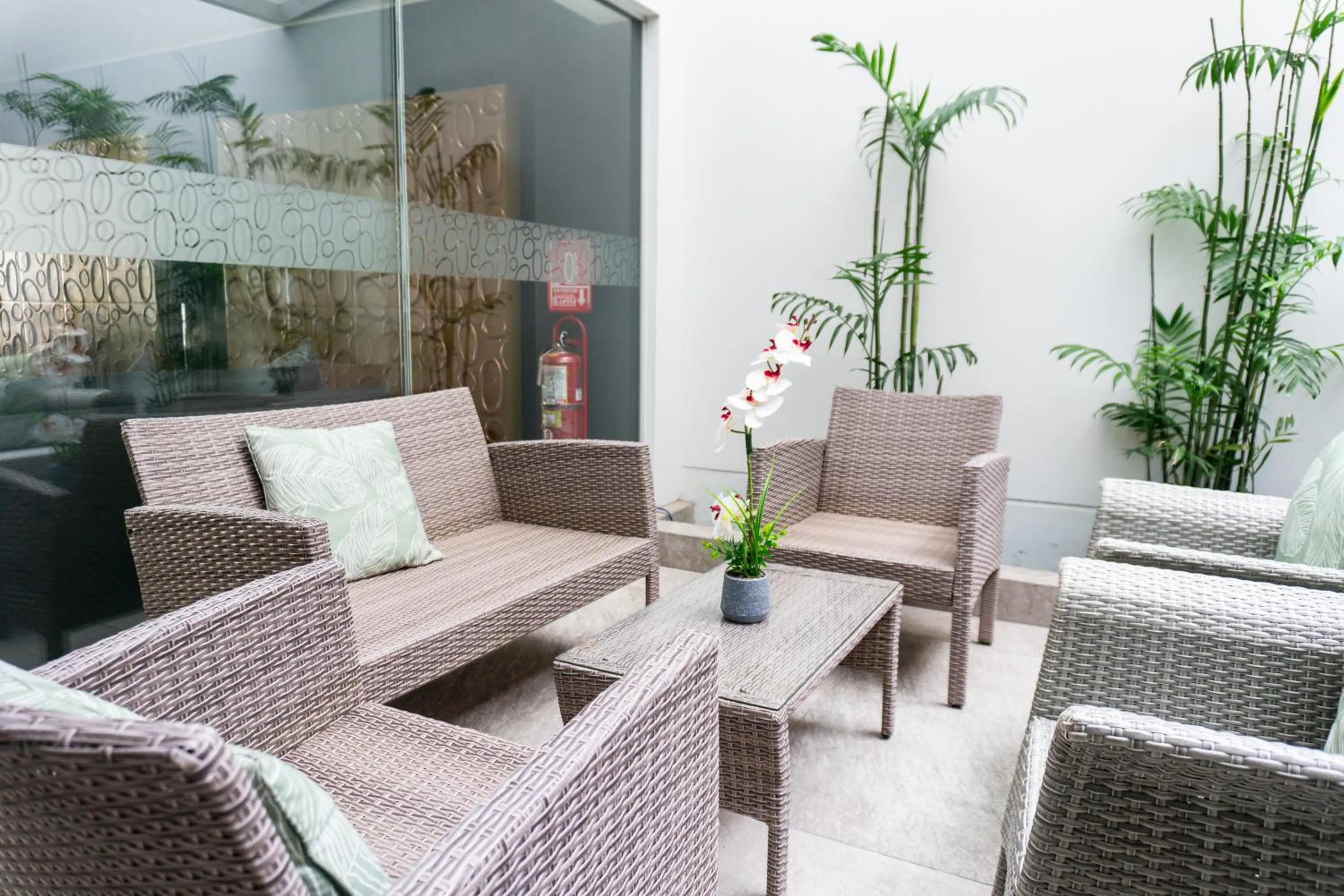 Garden in Apart Hotel Petit Palace Suites