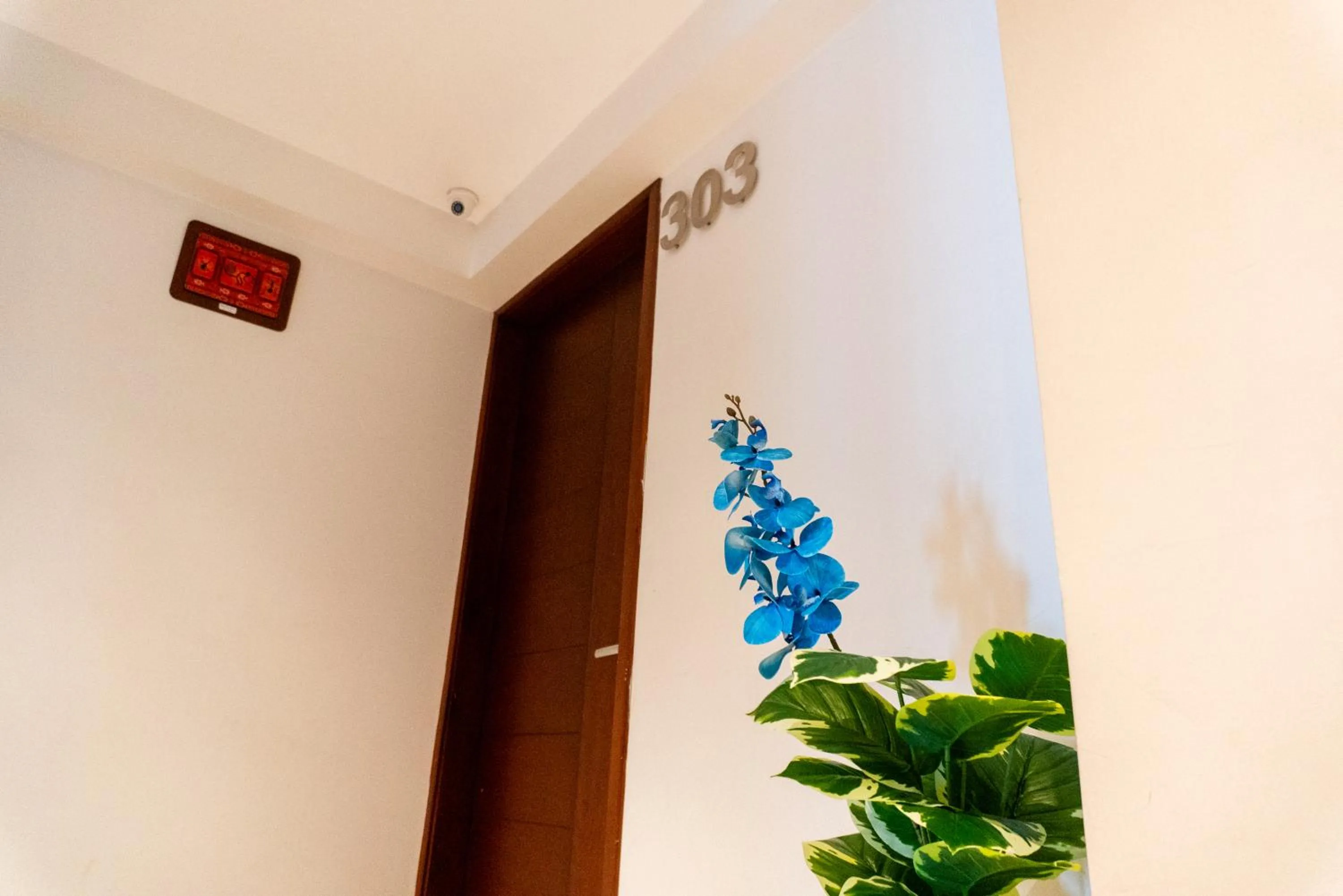 Other in Apart Hotel Petit Palace Suites