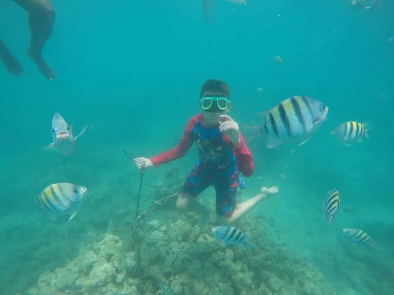 Snorkeling in Pura Vida Baru - La Casa del Cholo
