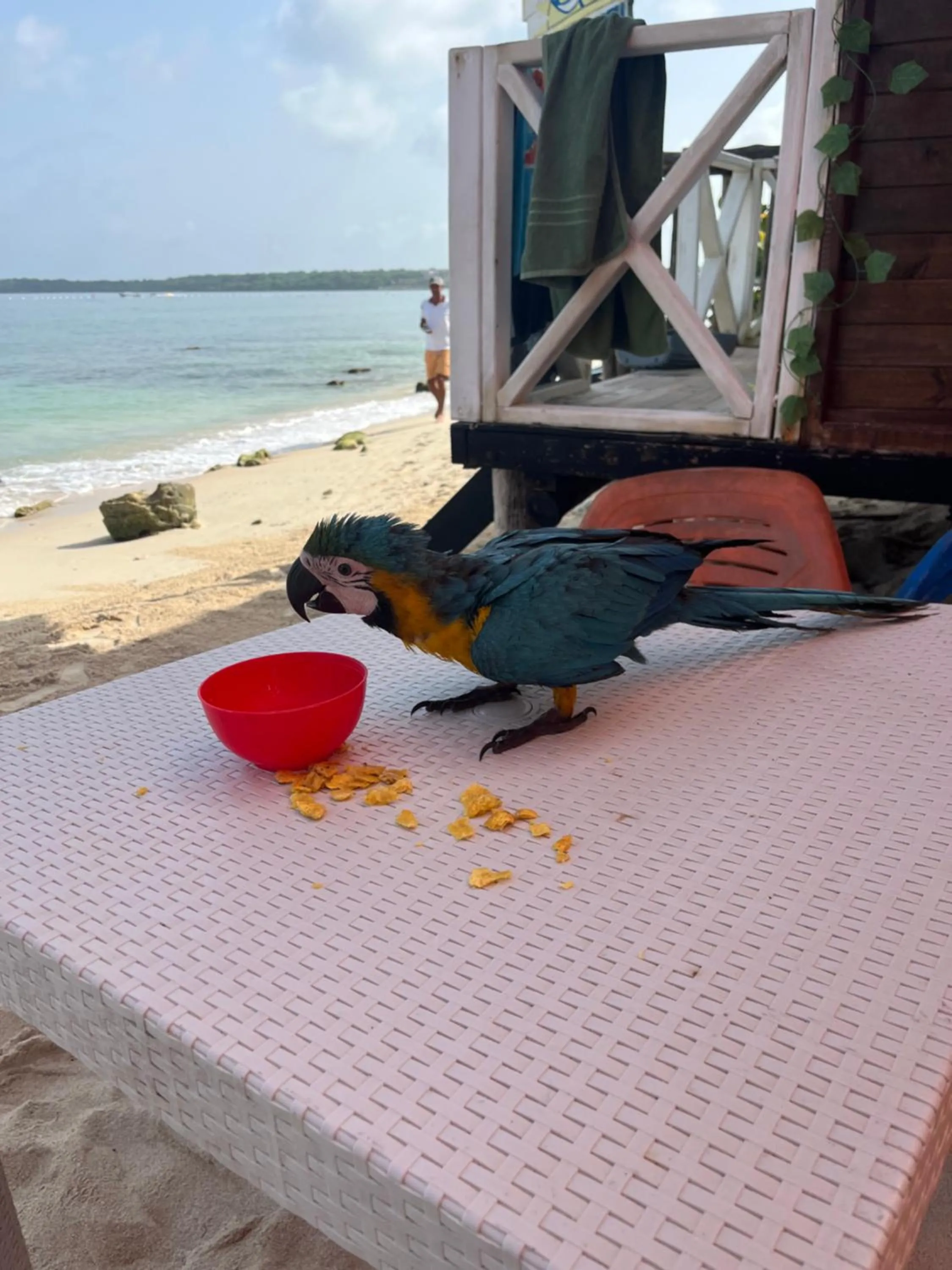 Beach in Pura Vida Baru - La Casa del Cholo