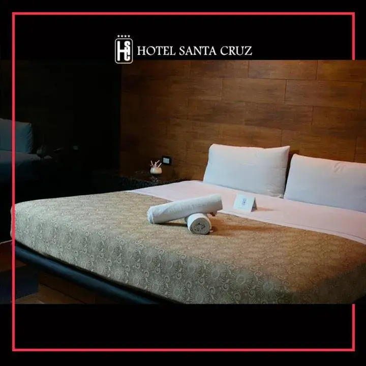Superior King Room in Hotel Santa Cruz Superior King Room in Hotel Santa Cruz