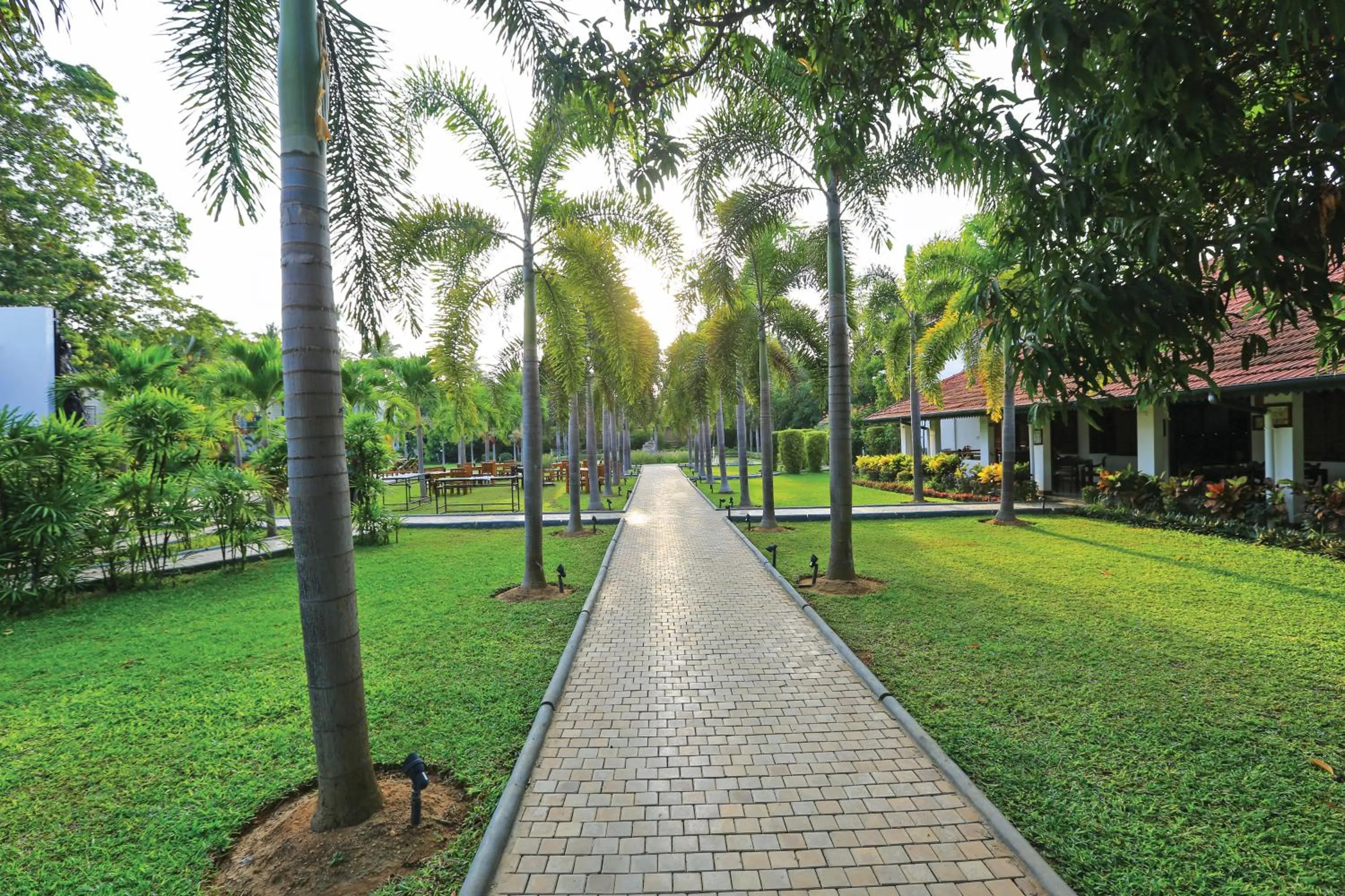 Garden in Fox Jaffna
