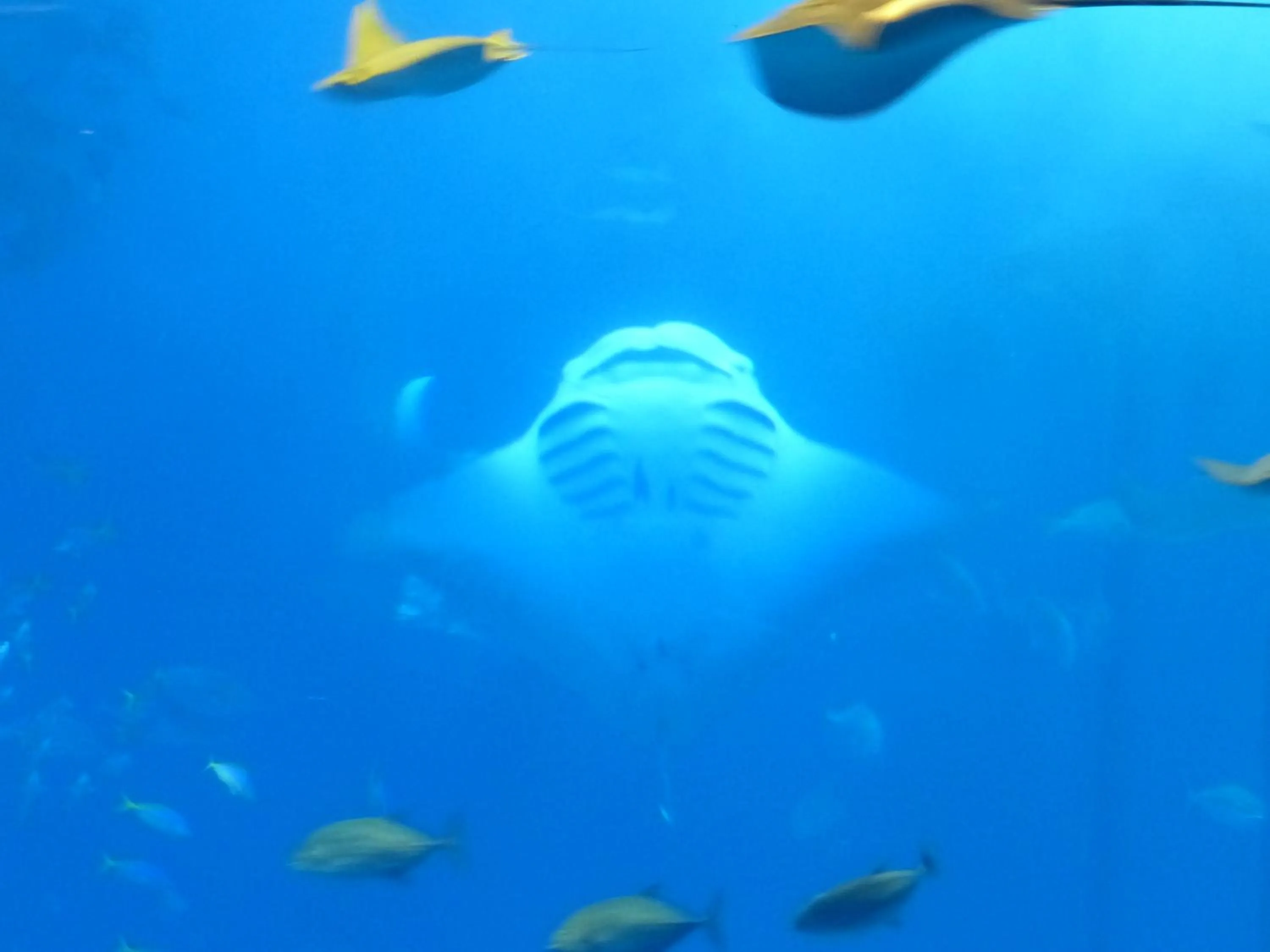 Ocean Front YAMAKAWA