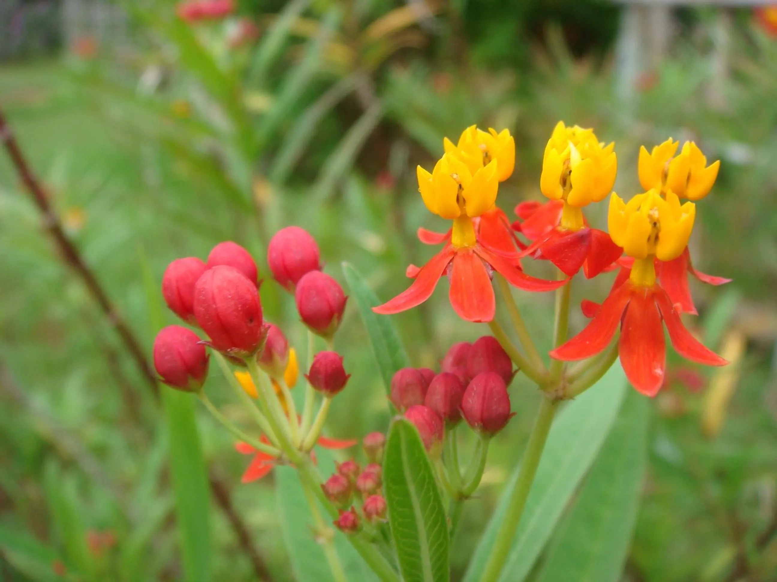 Off site in Ocean Front YAMAKAWA