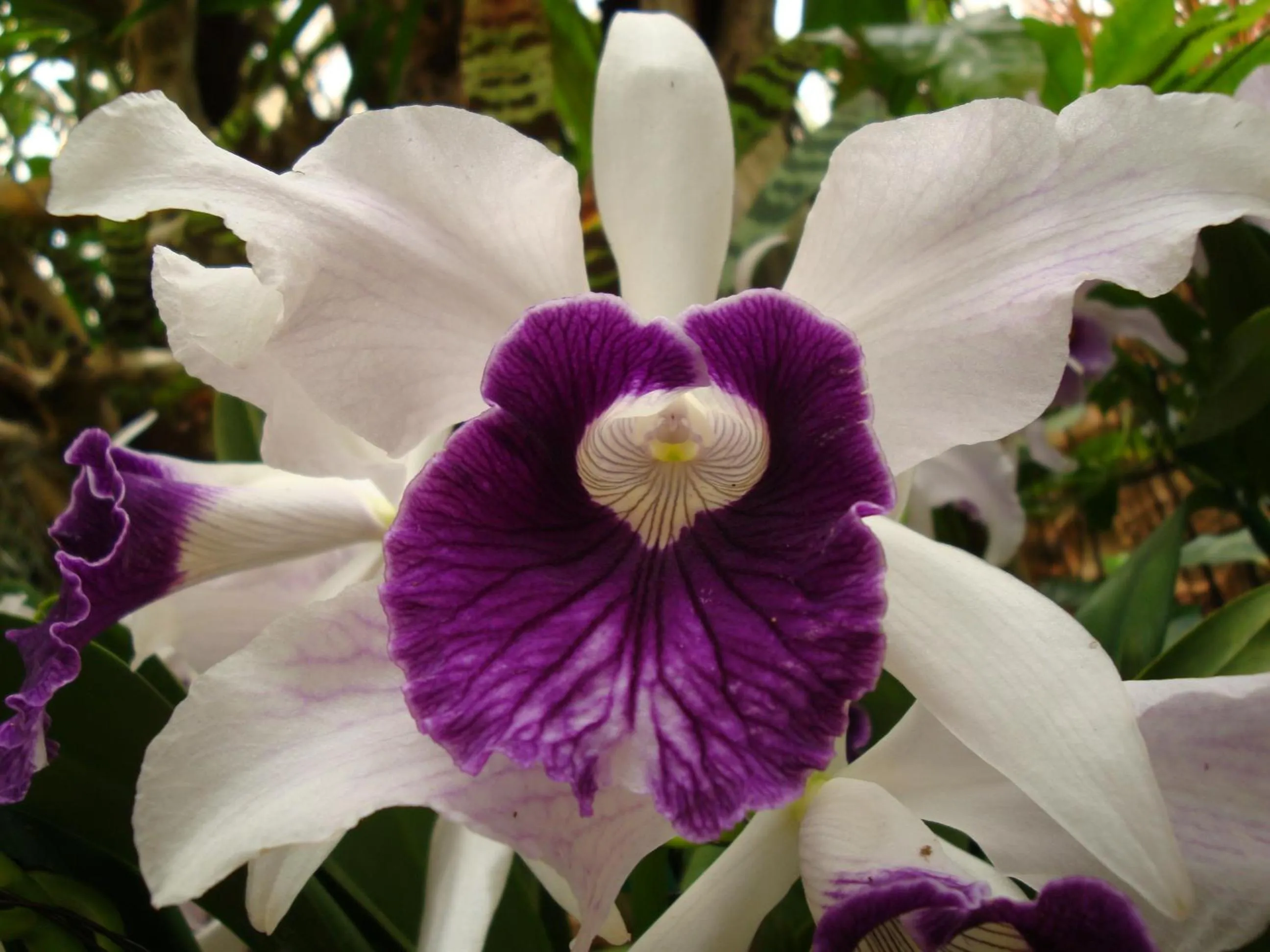 Nearby landmark in Ocean Front YAMAKAWA
