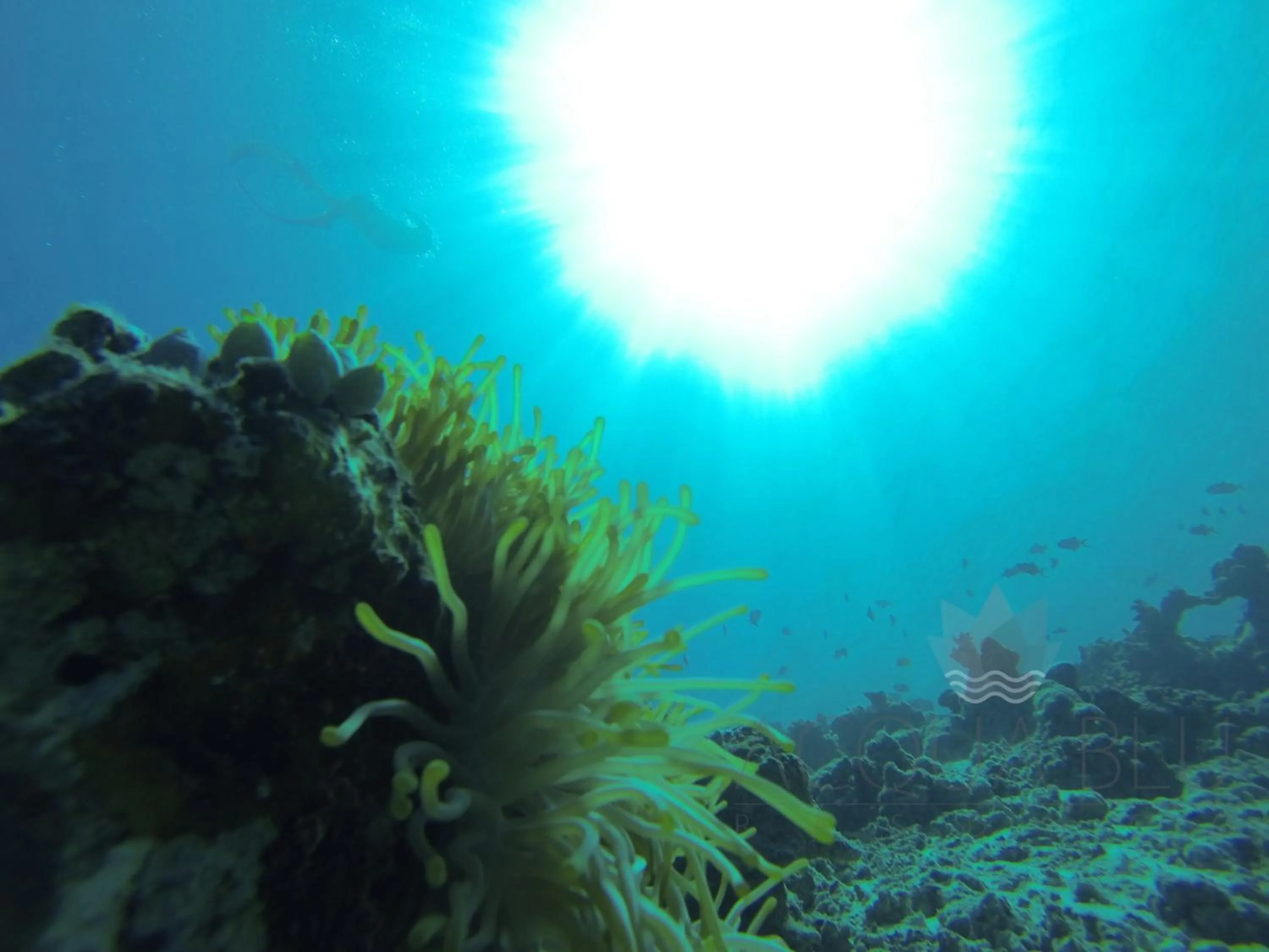 Off site in Acqua Blu Rasdhoo