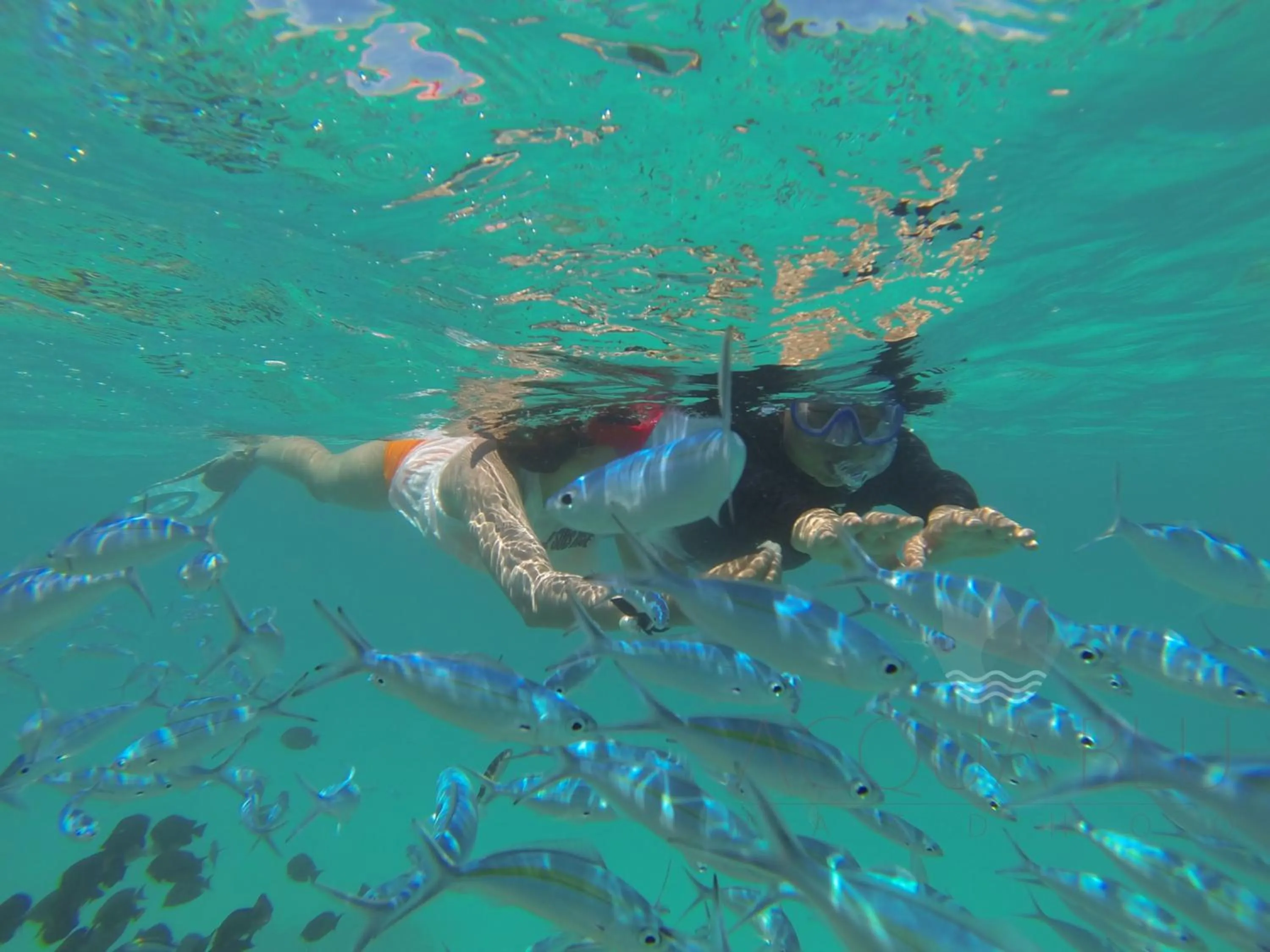 Activities in Acqua Blu Rasdhoo