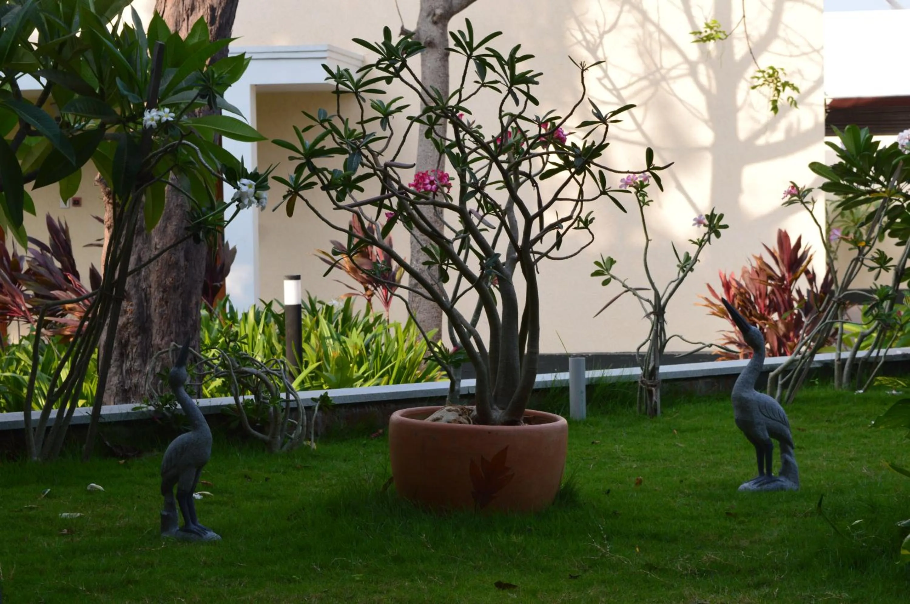 Garden view in Welcomhotel by ITC Hotels, Kences Palm Beach, Mamallapuram