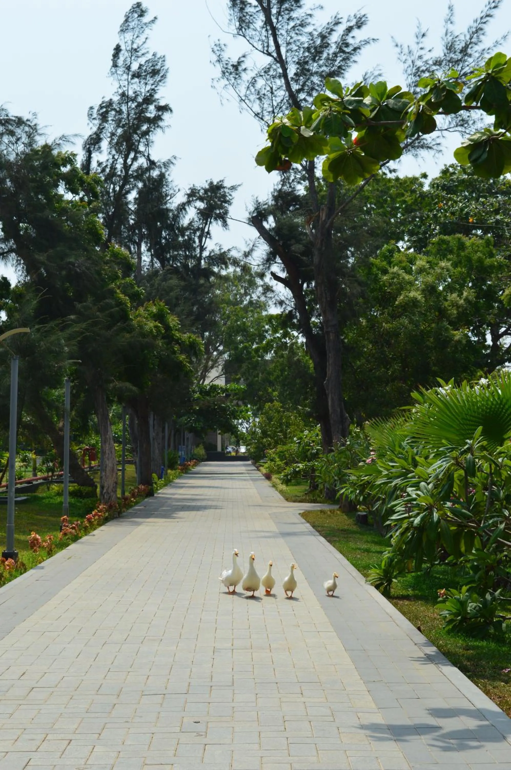 Property building in Welcomhotel by ITC Hotels, Kences Palm Beach, Mamallapuram