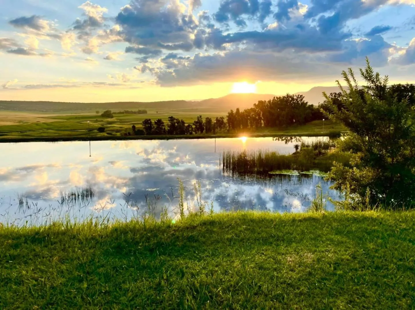 Grey Goose Game Lodge