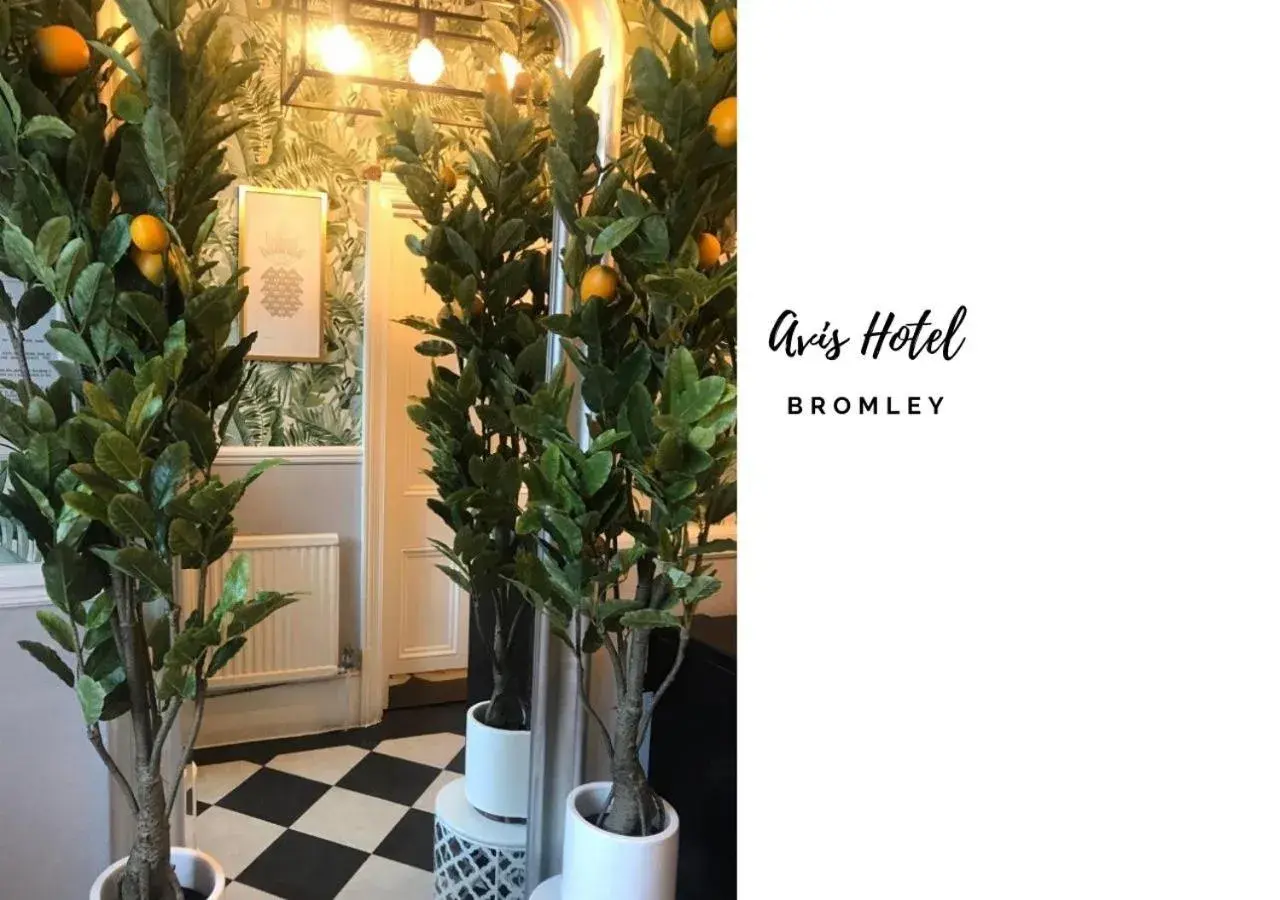 Avis Hotel Avis Hotel