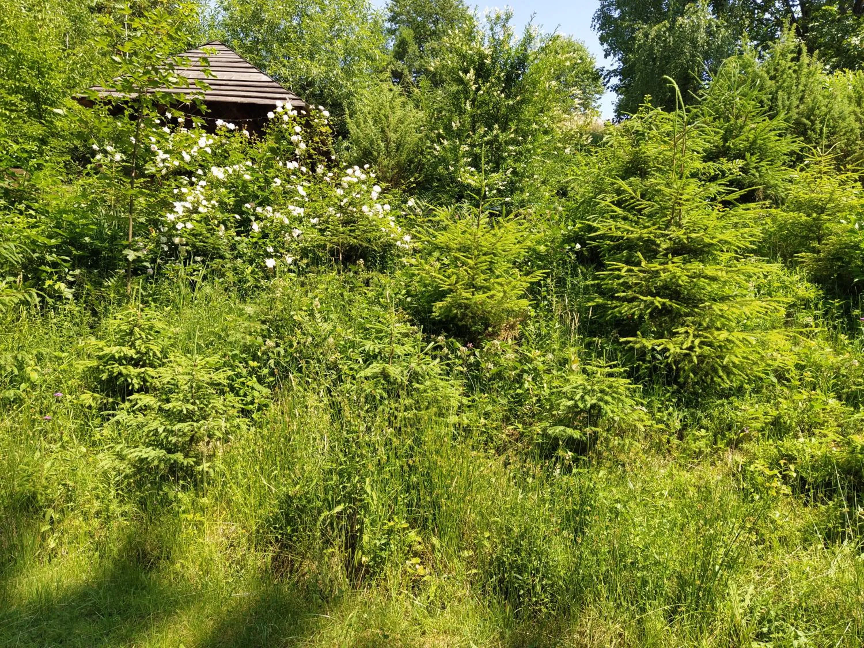 PetrikHolm