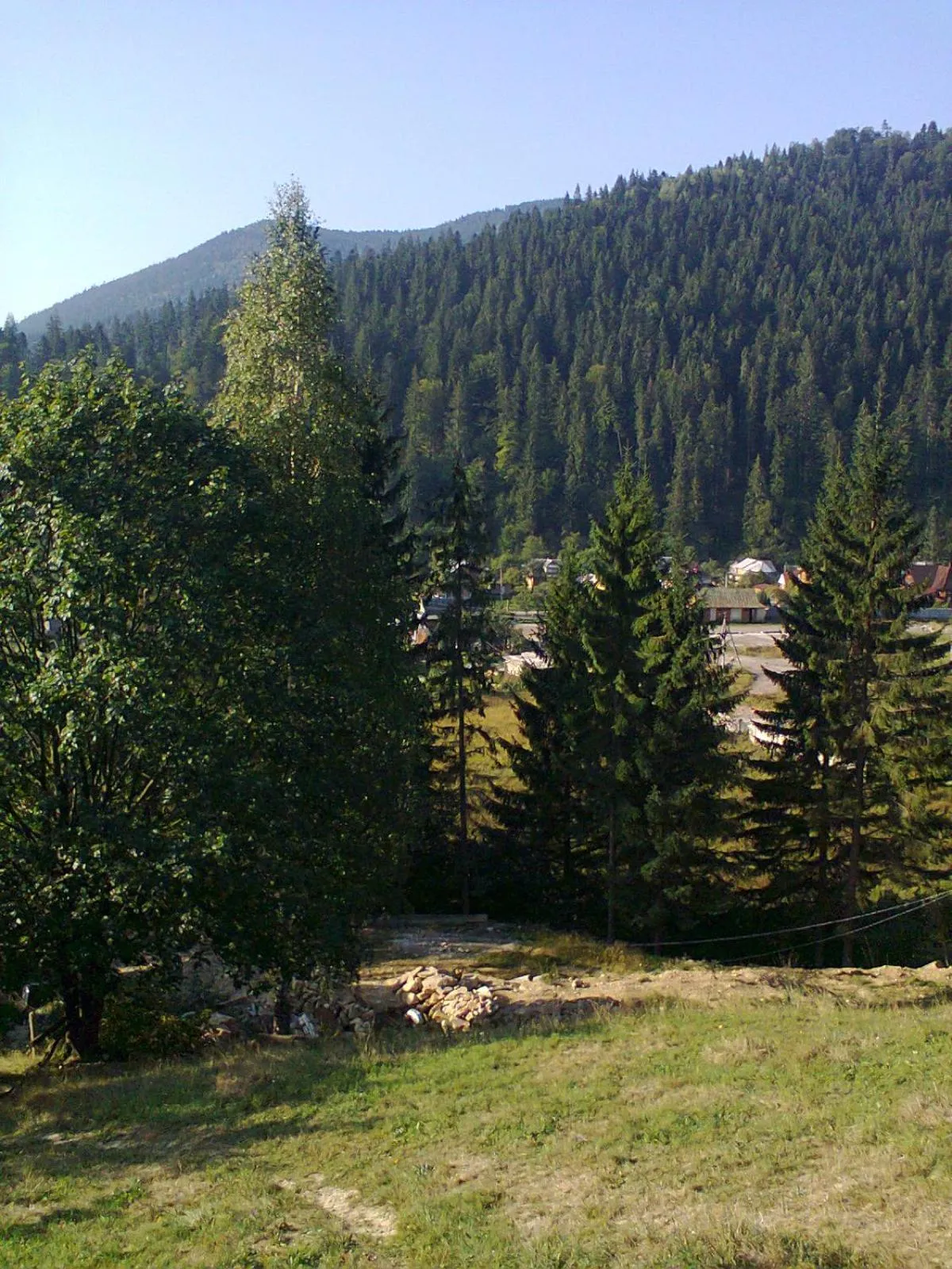 PetrikHolm