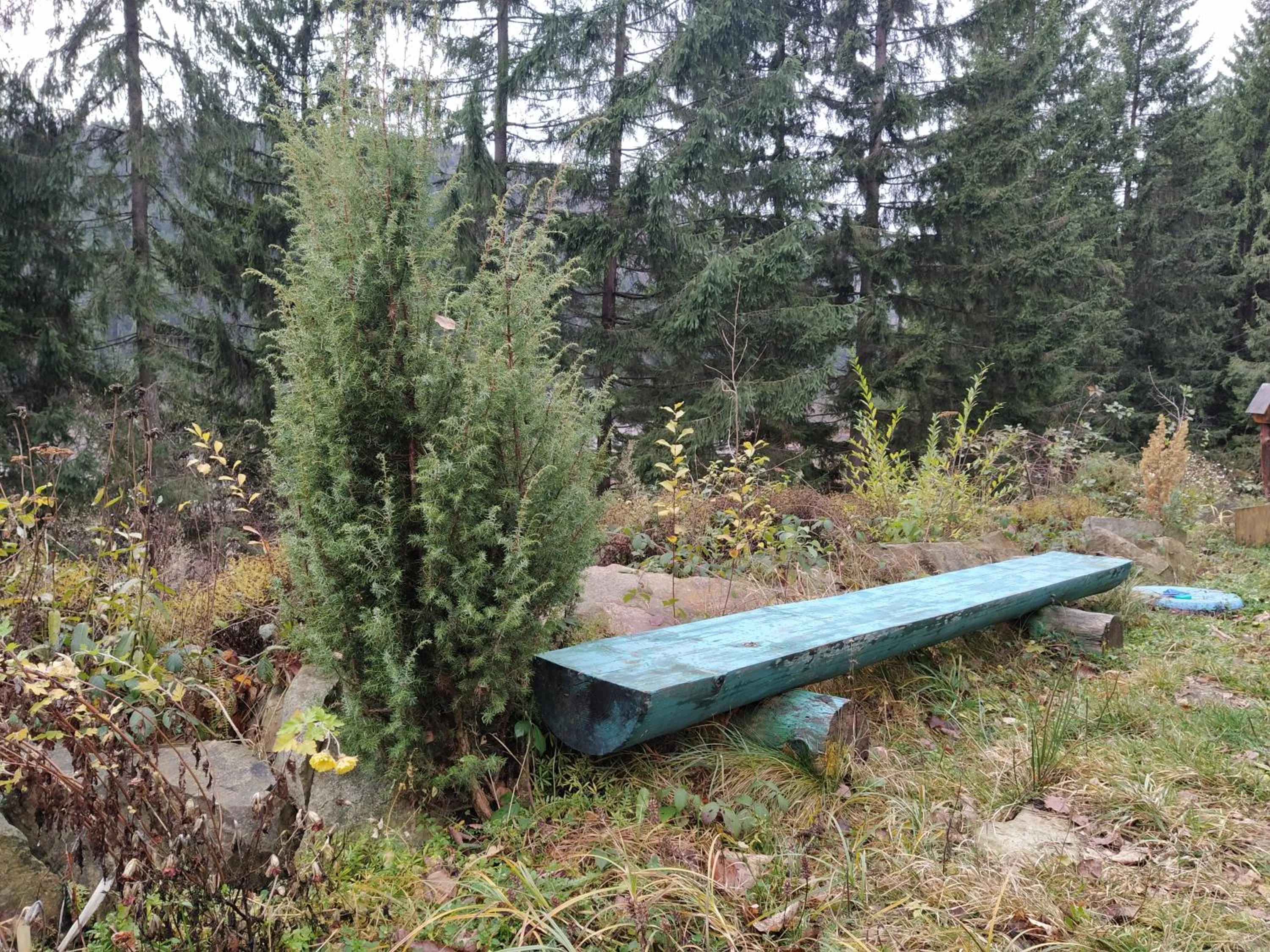 PetrikHolm