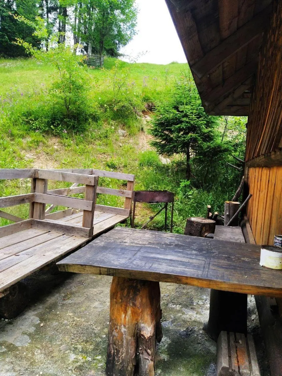 PetrikHolm