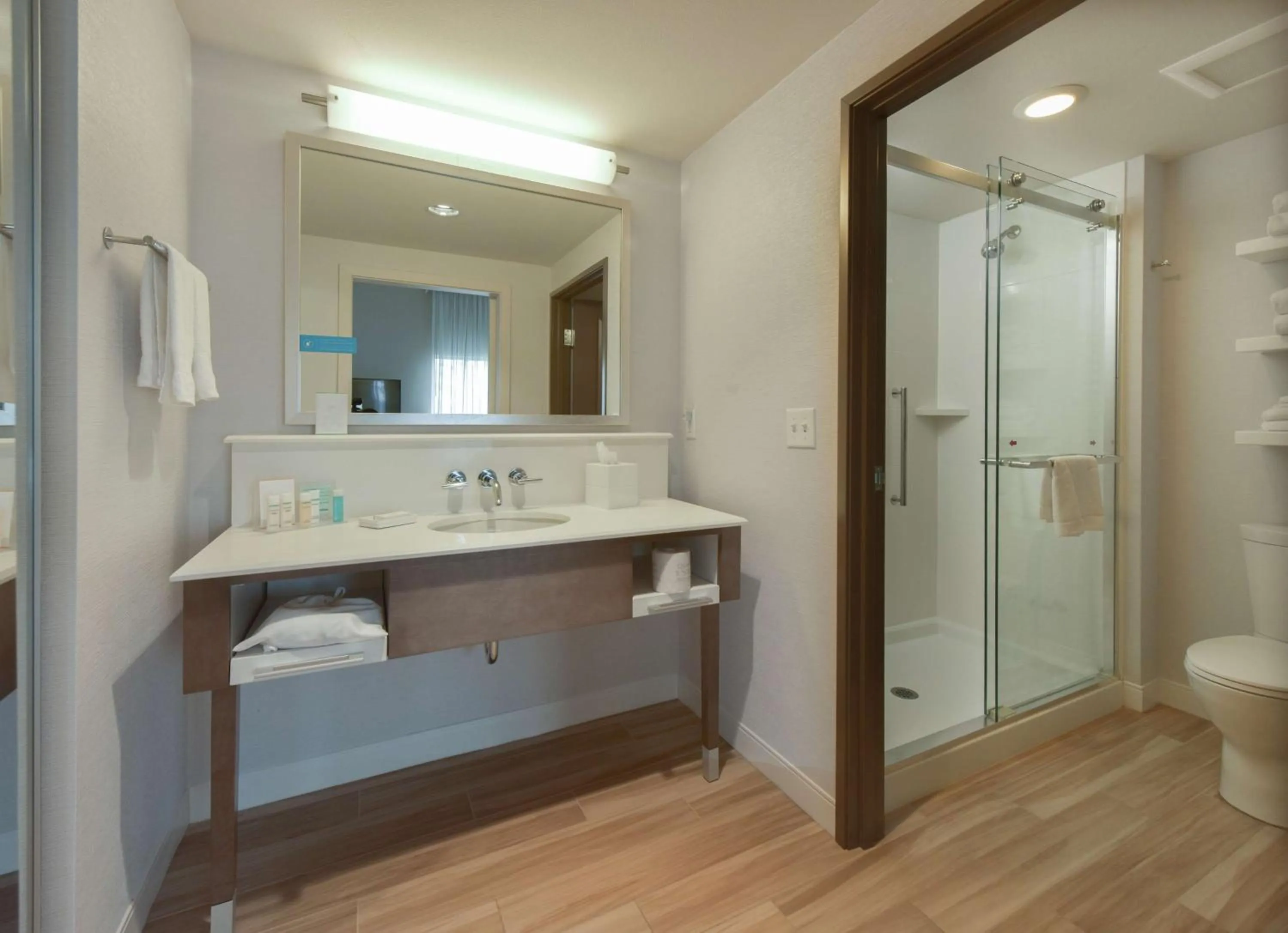 Bathroom in Hampton Inn & Suites Seattle/Redmond Wa