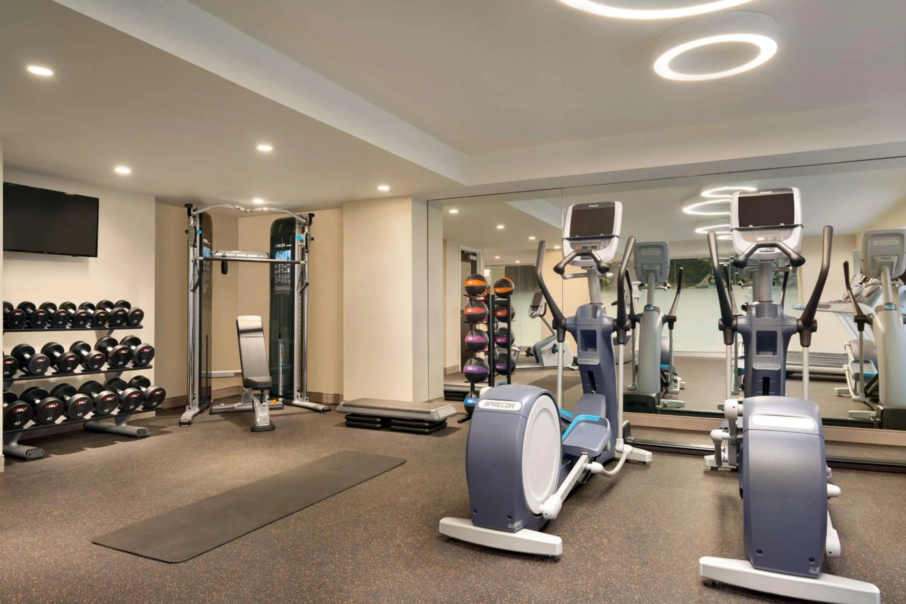 Fitness centre/facilities in Embassy Suites By Hilton New York Manhattan Times Square