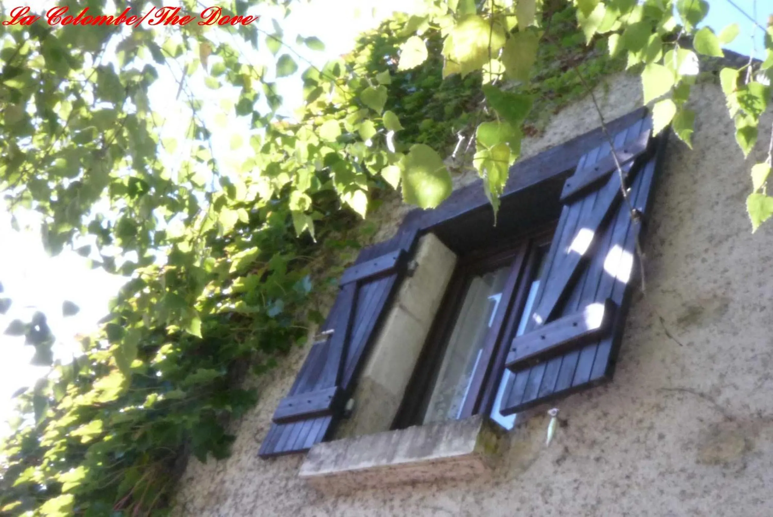 Property building in Songbird Sanctuary