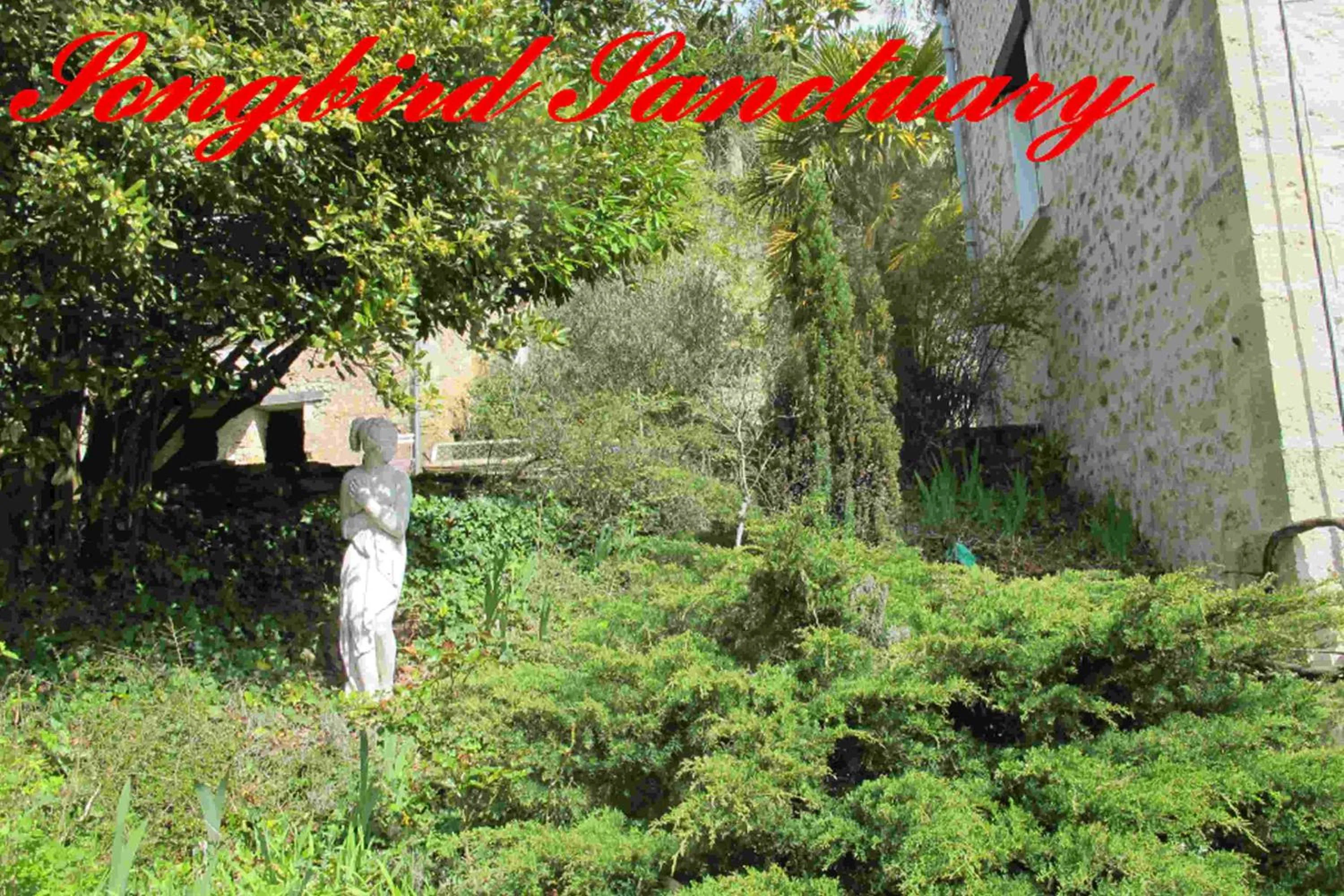 Property building in Songbird Sanctuary