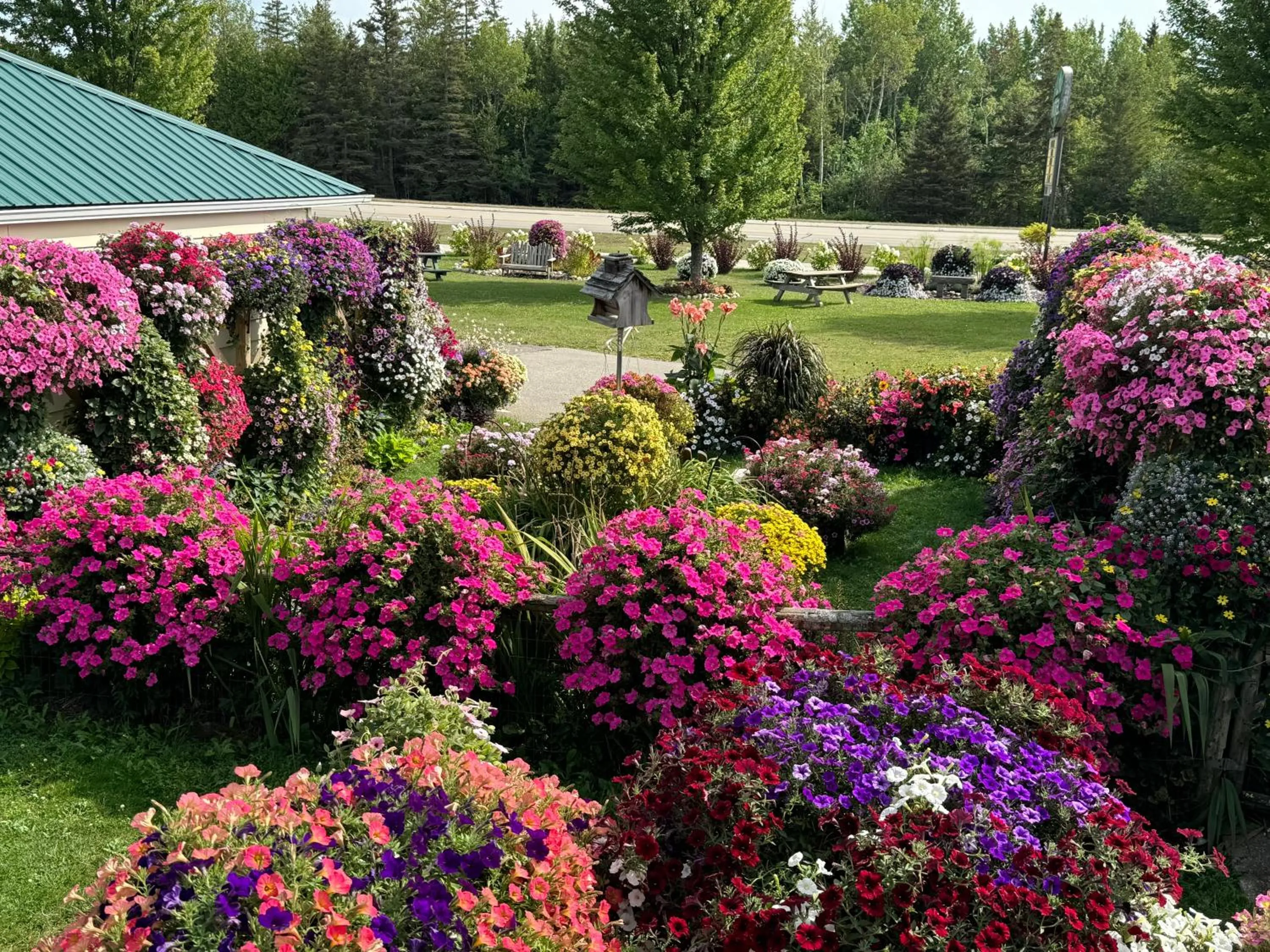 Sunset Motel at Armand's Gardens