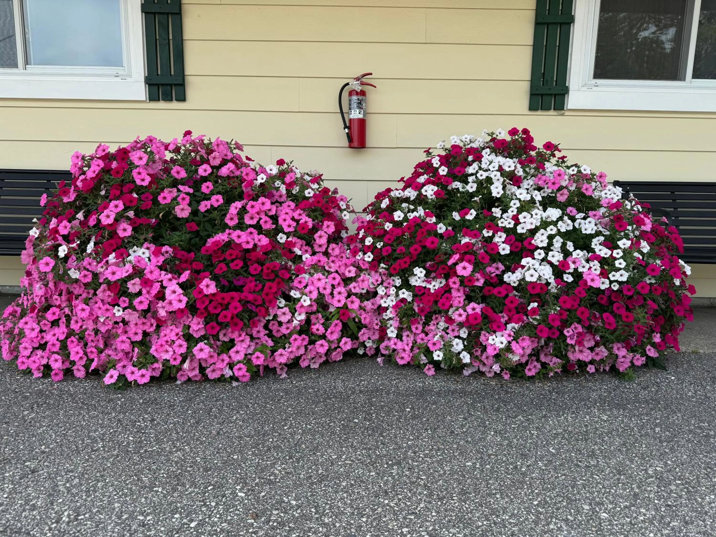 Sunset Motel at Armand's Gardens
