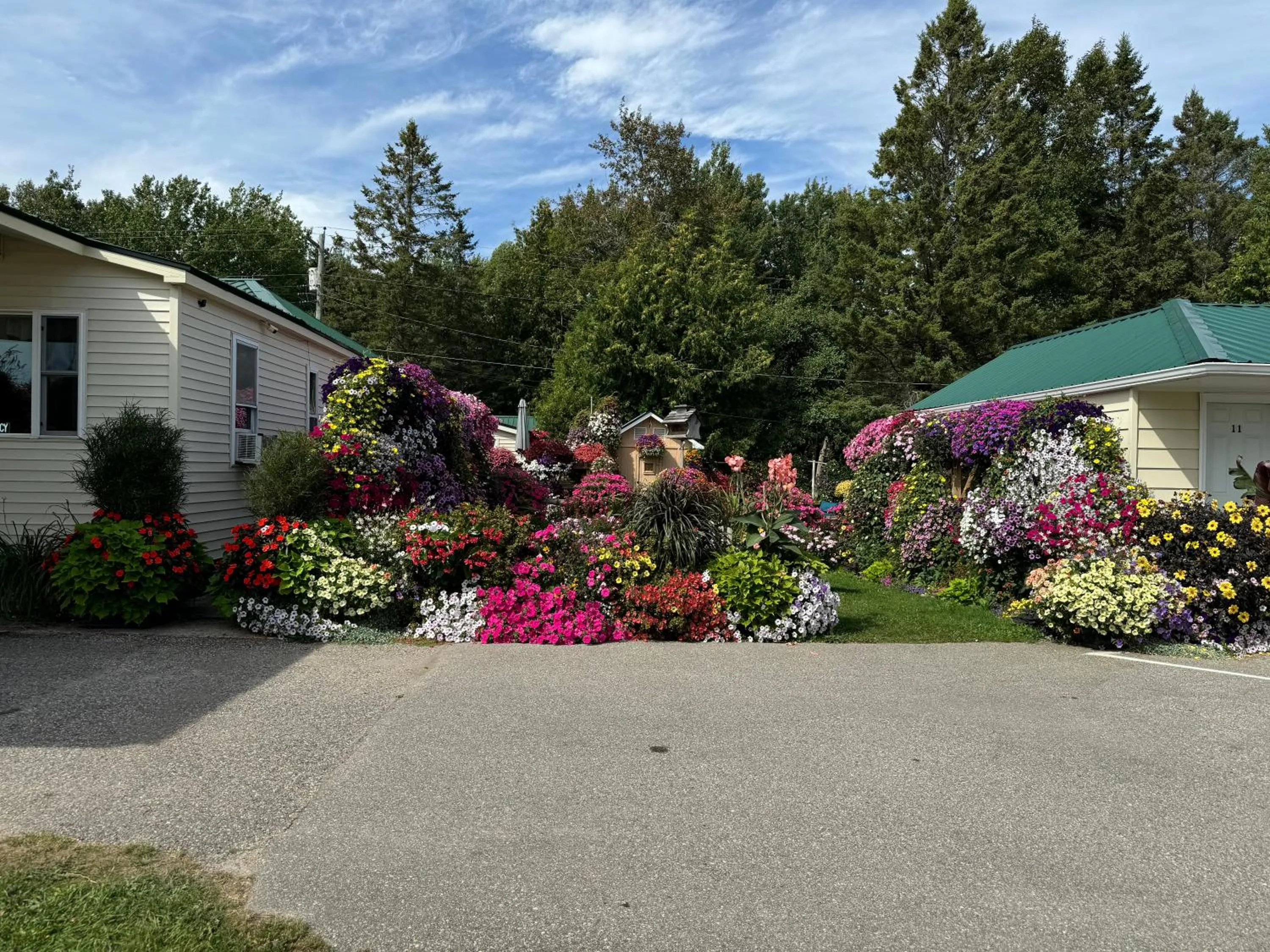 Sunset Motel at Armand's Gardens