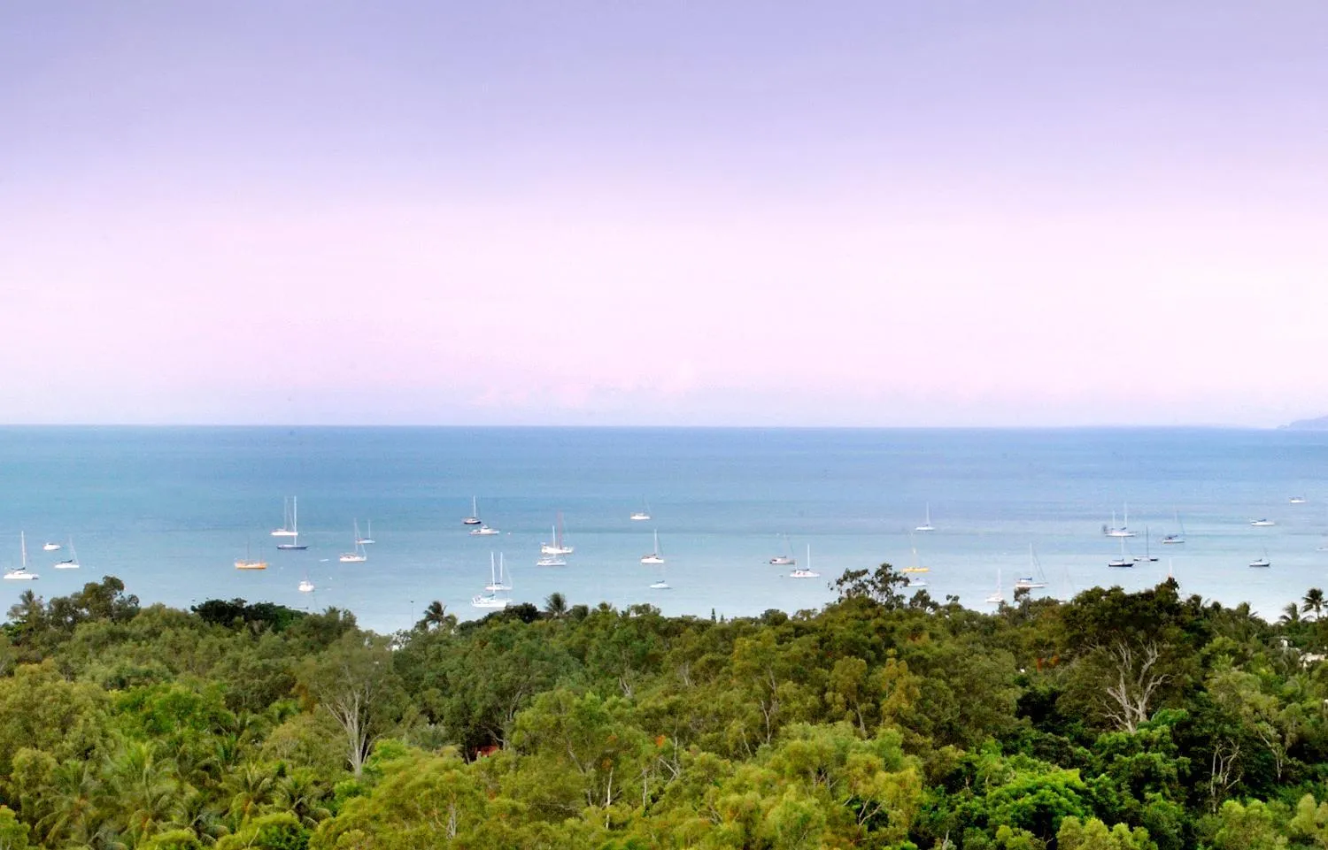 Beach in Azure Sea Whitsunday Resort