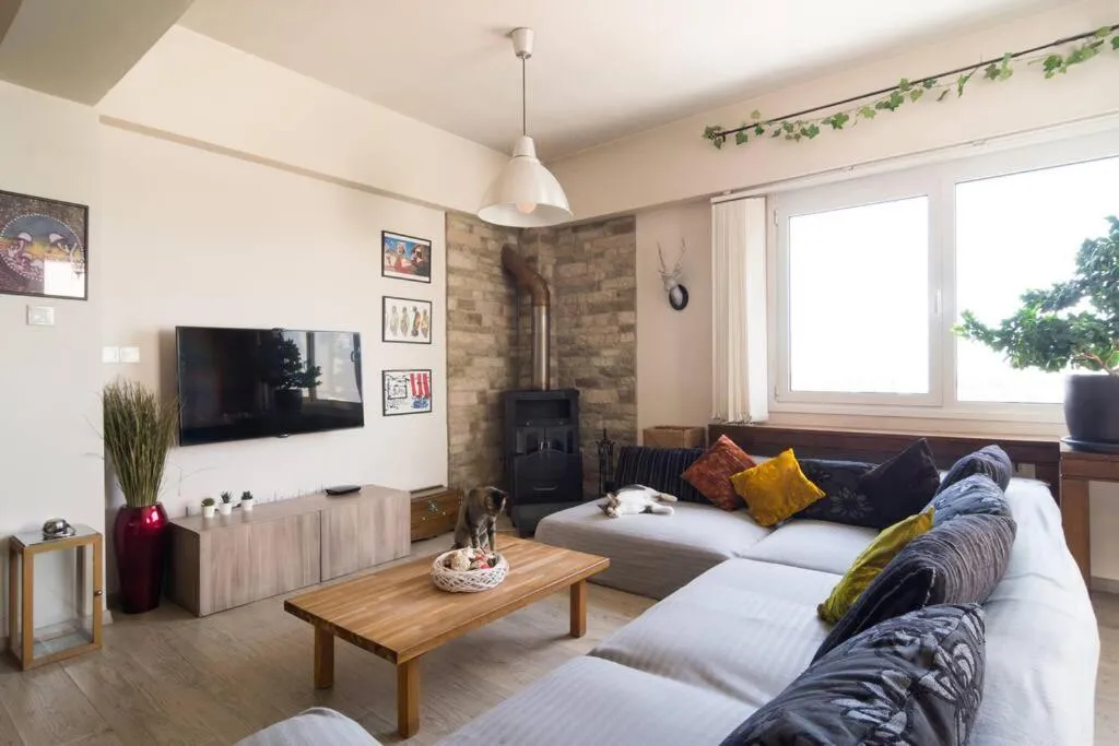 Vas' Penthouse