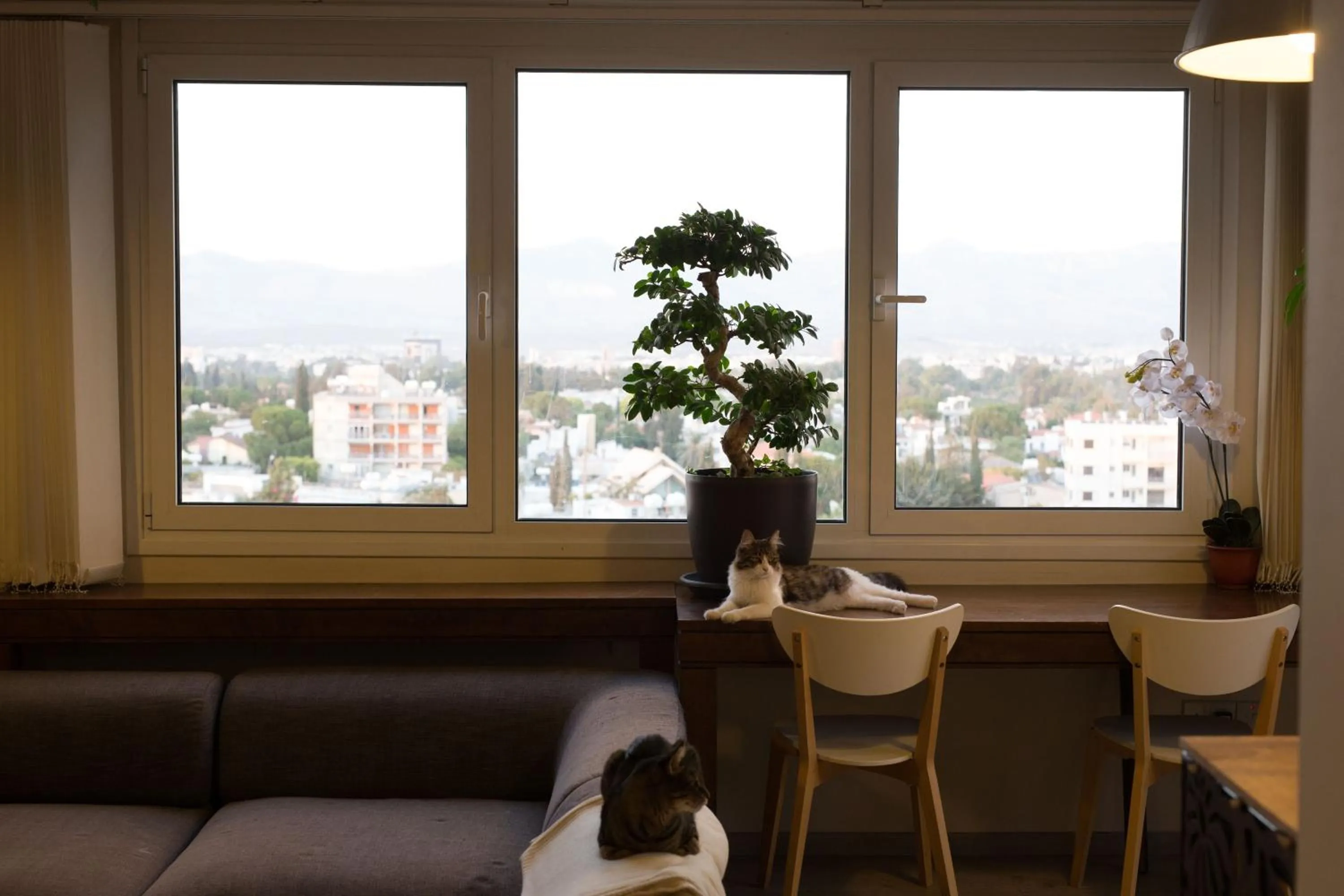 Vas' Penthouse