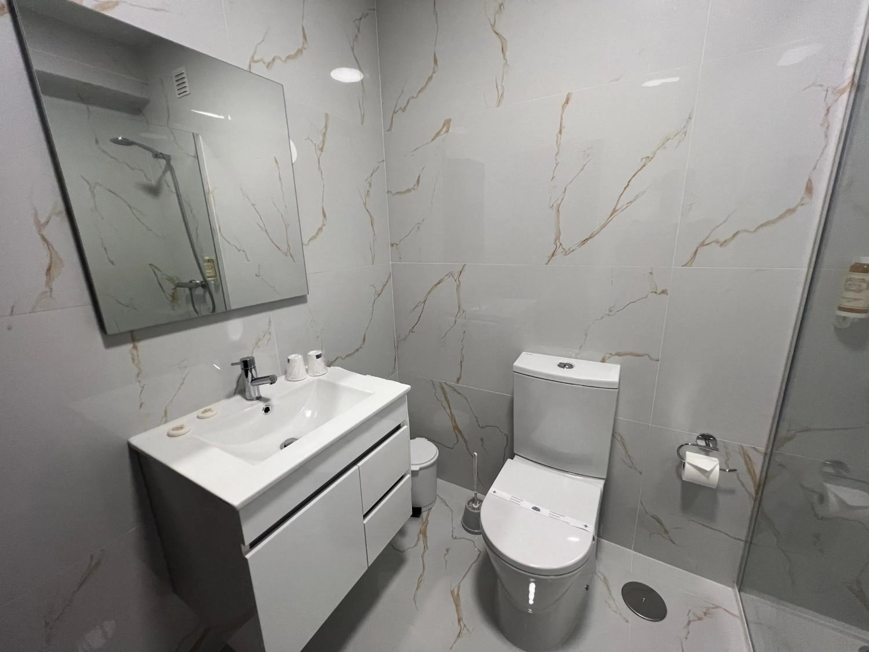 Shower in Hotel Ribadouro