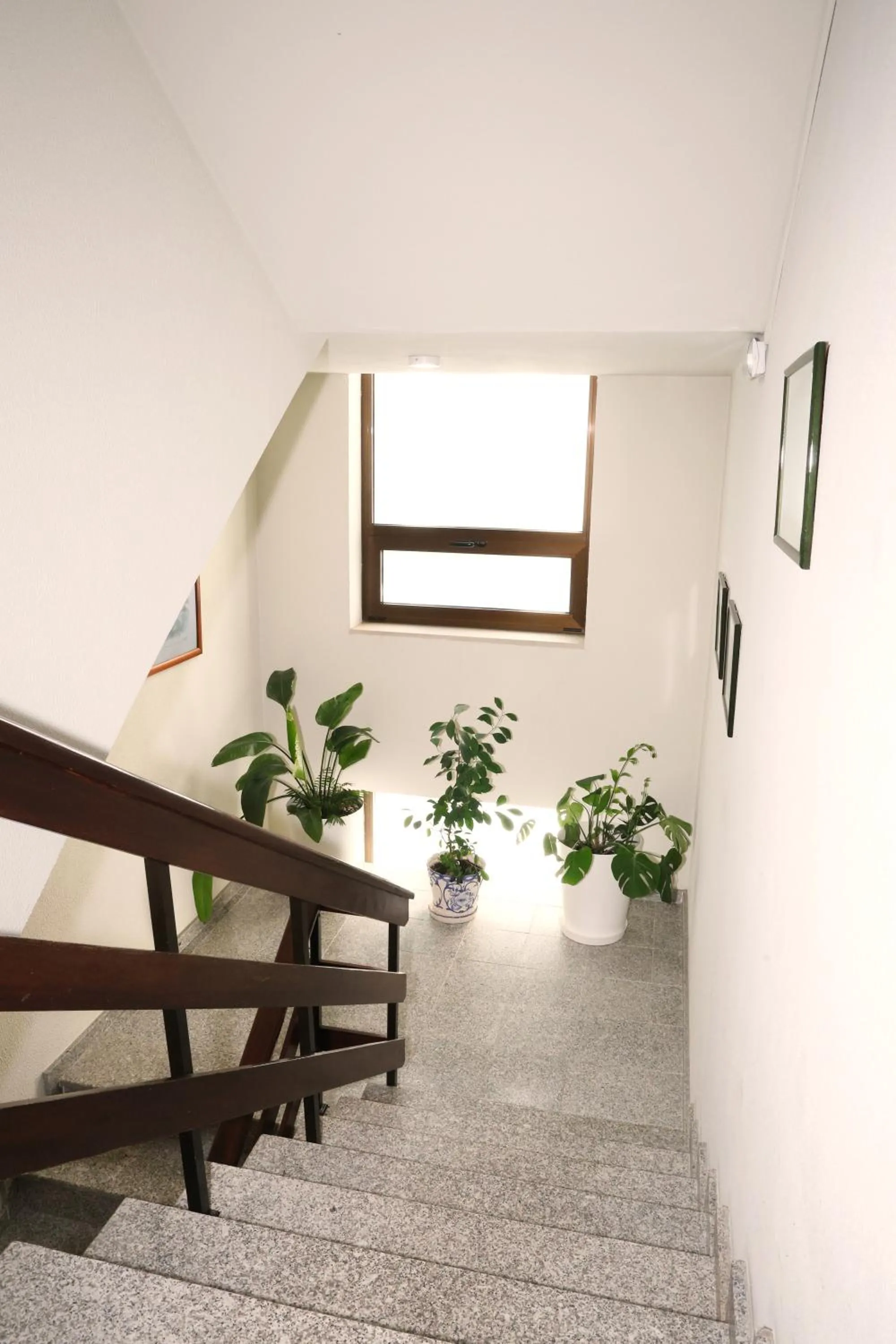 acessibility in Hotel Ribadouro