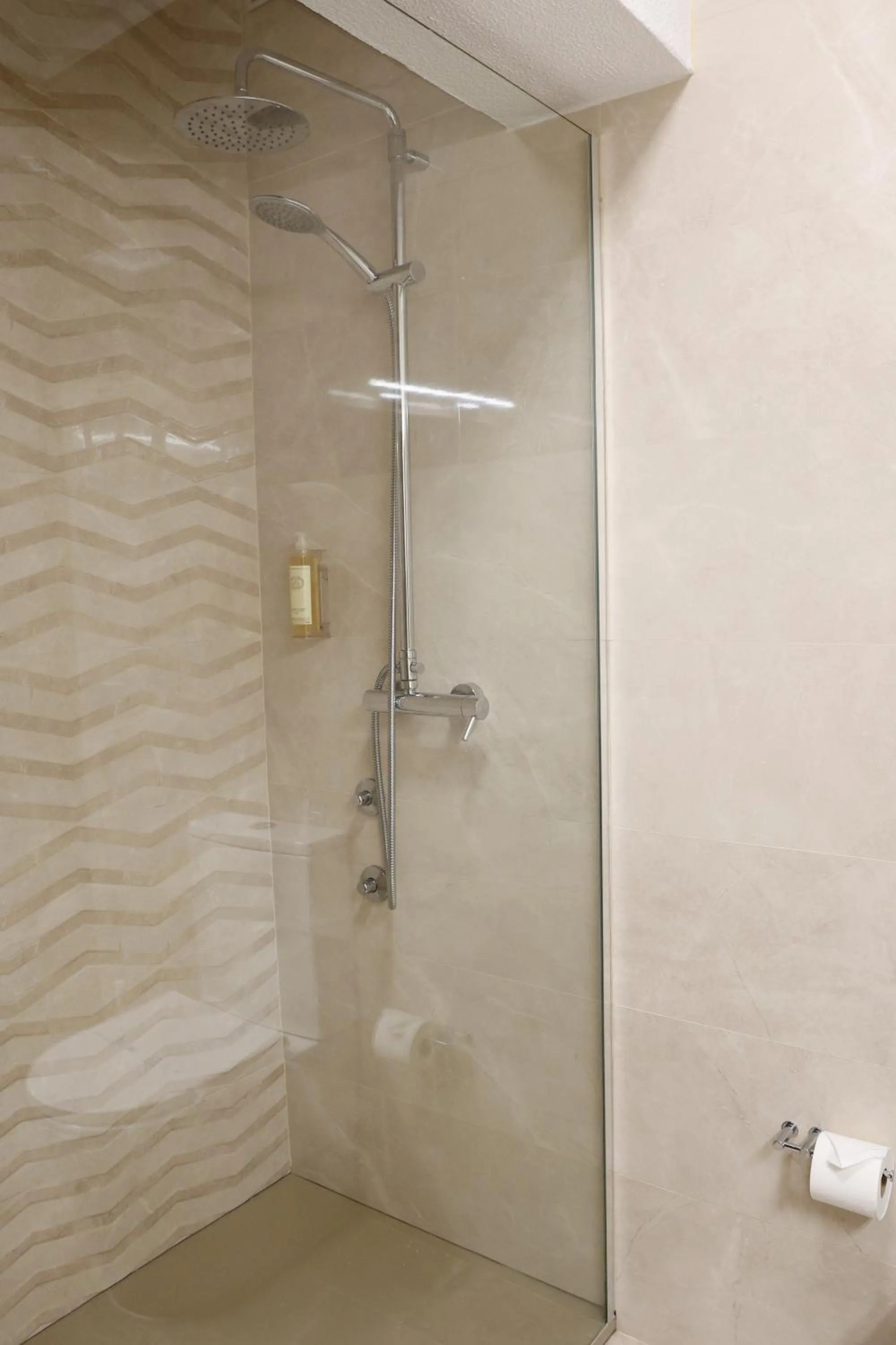 Shower in Hotel Ribadouro