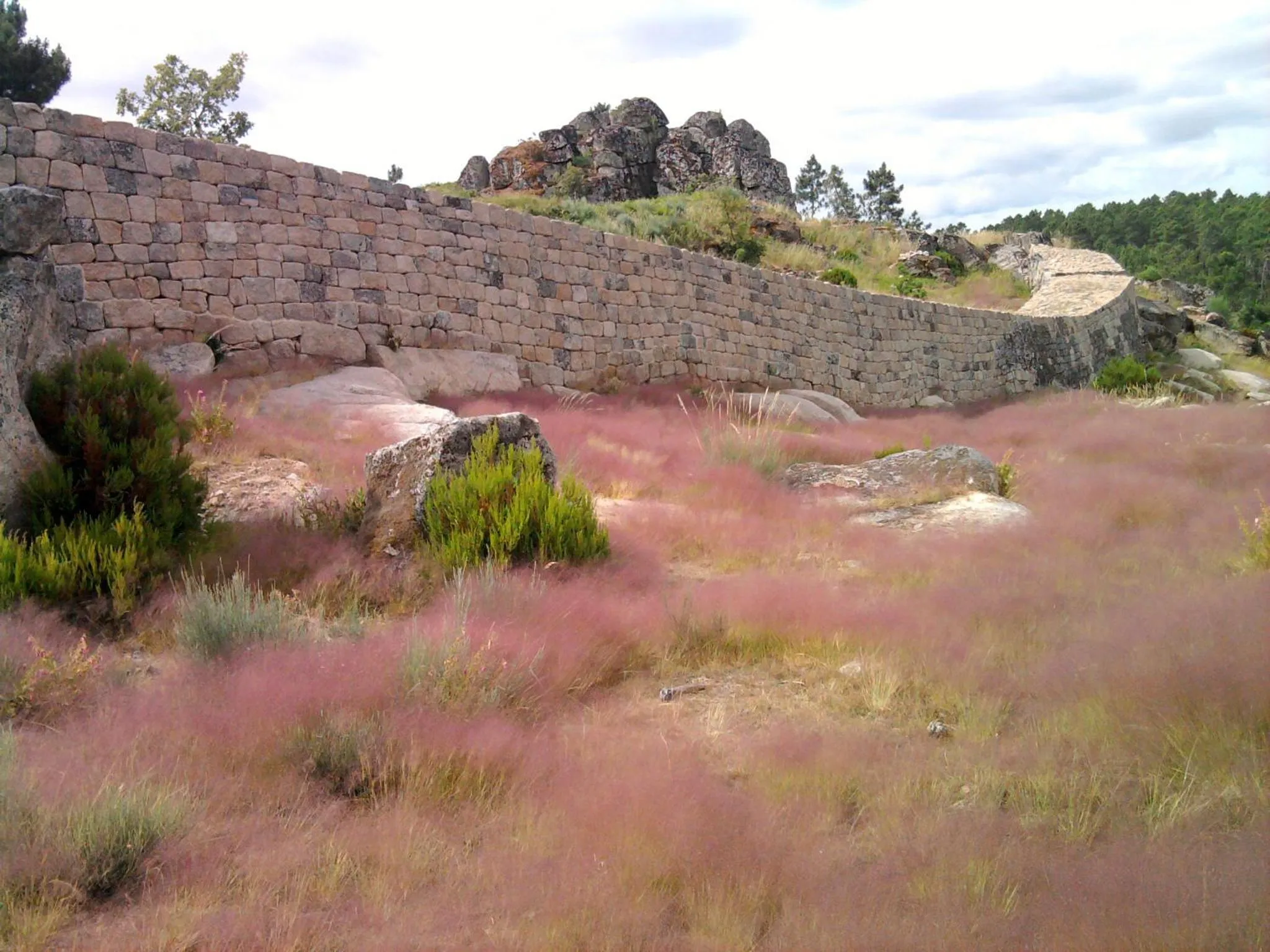 Nearby landmark in Hotel Ribadouro