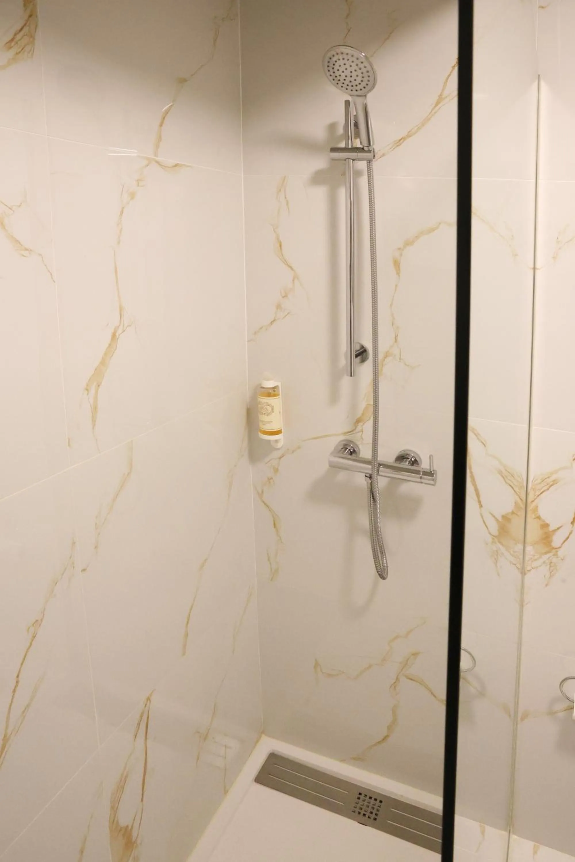 Shower in Hotel Ribadouro