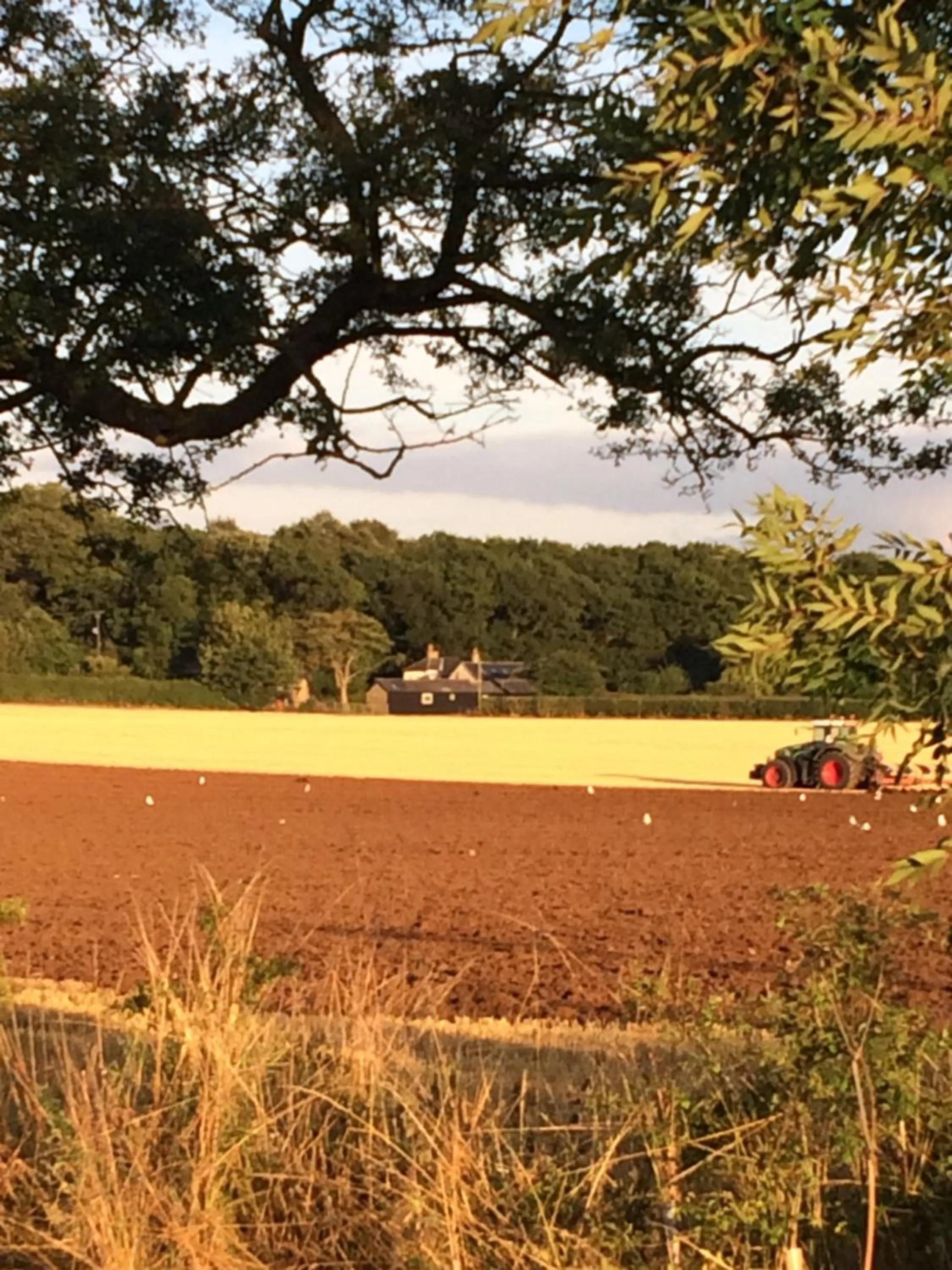 Property building in Bridleway Bed & Breakfast