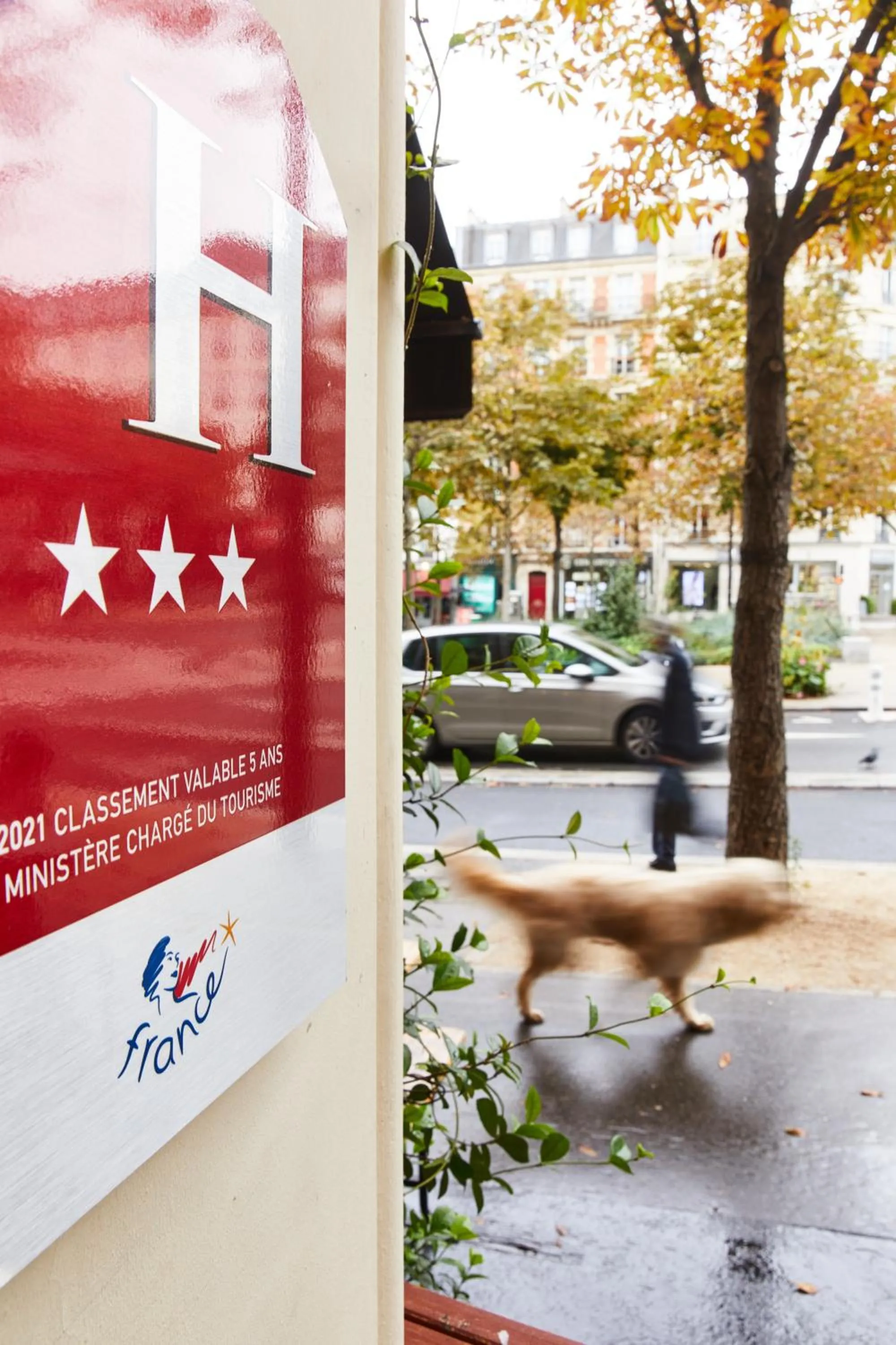 Property building in Madrigal