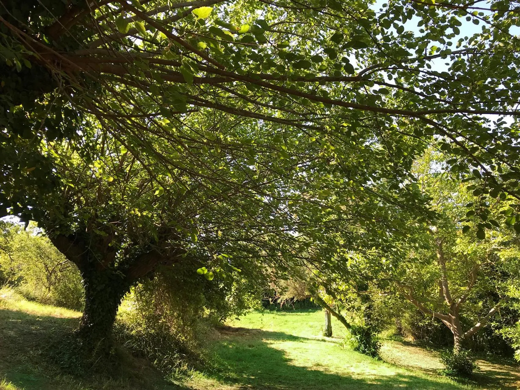 Garden view in Agriturismo Ca' Poldo