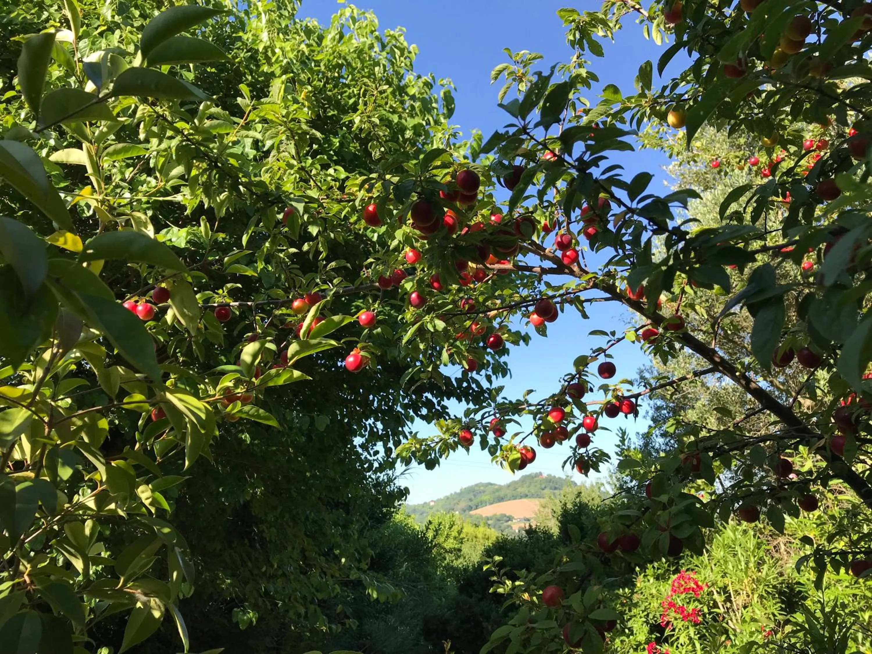 Natural landscape in Agriturismo Ca' Poldo