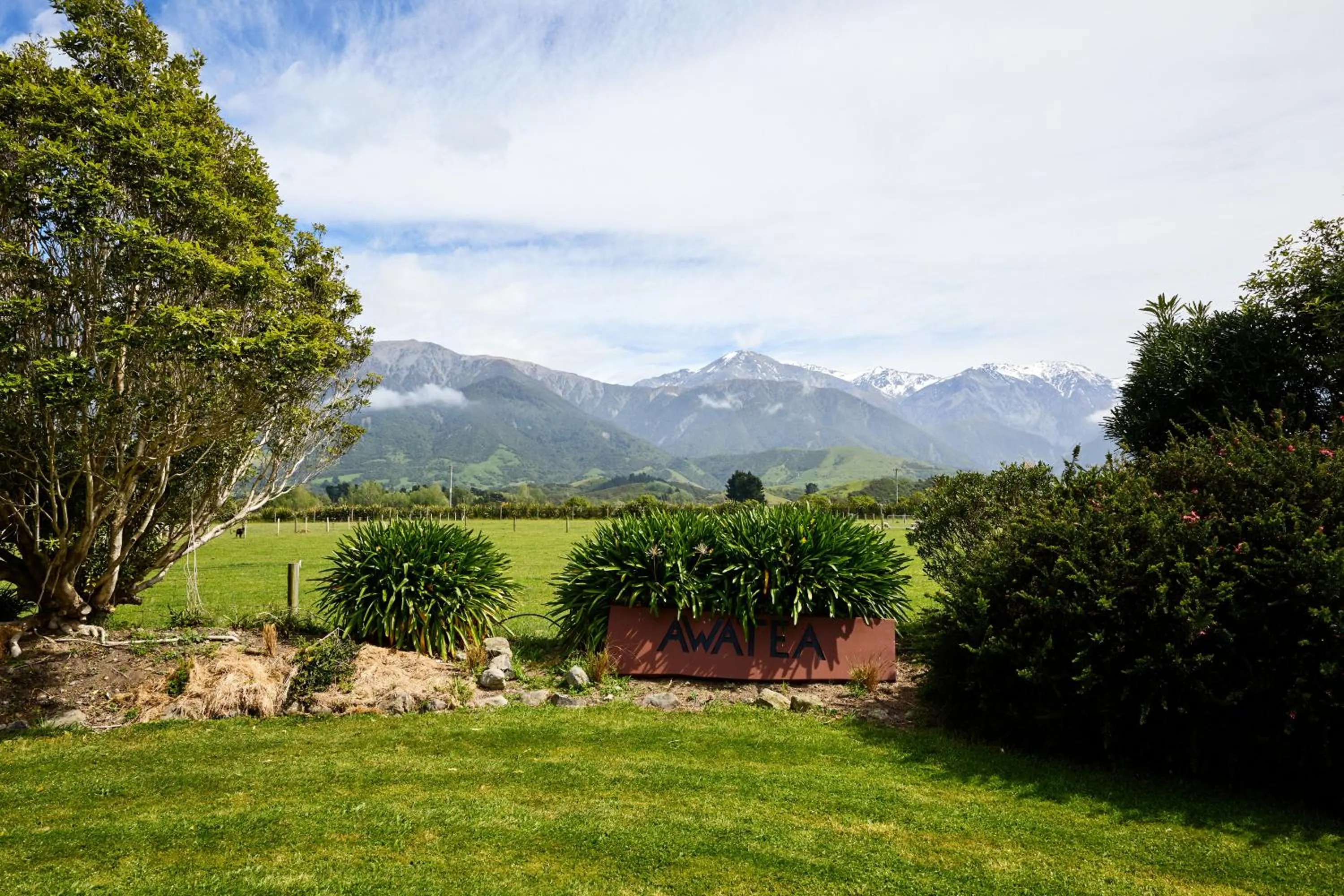 Day in Awatea Country Bed & Breakfast