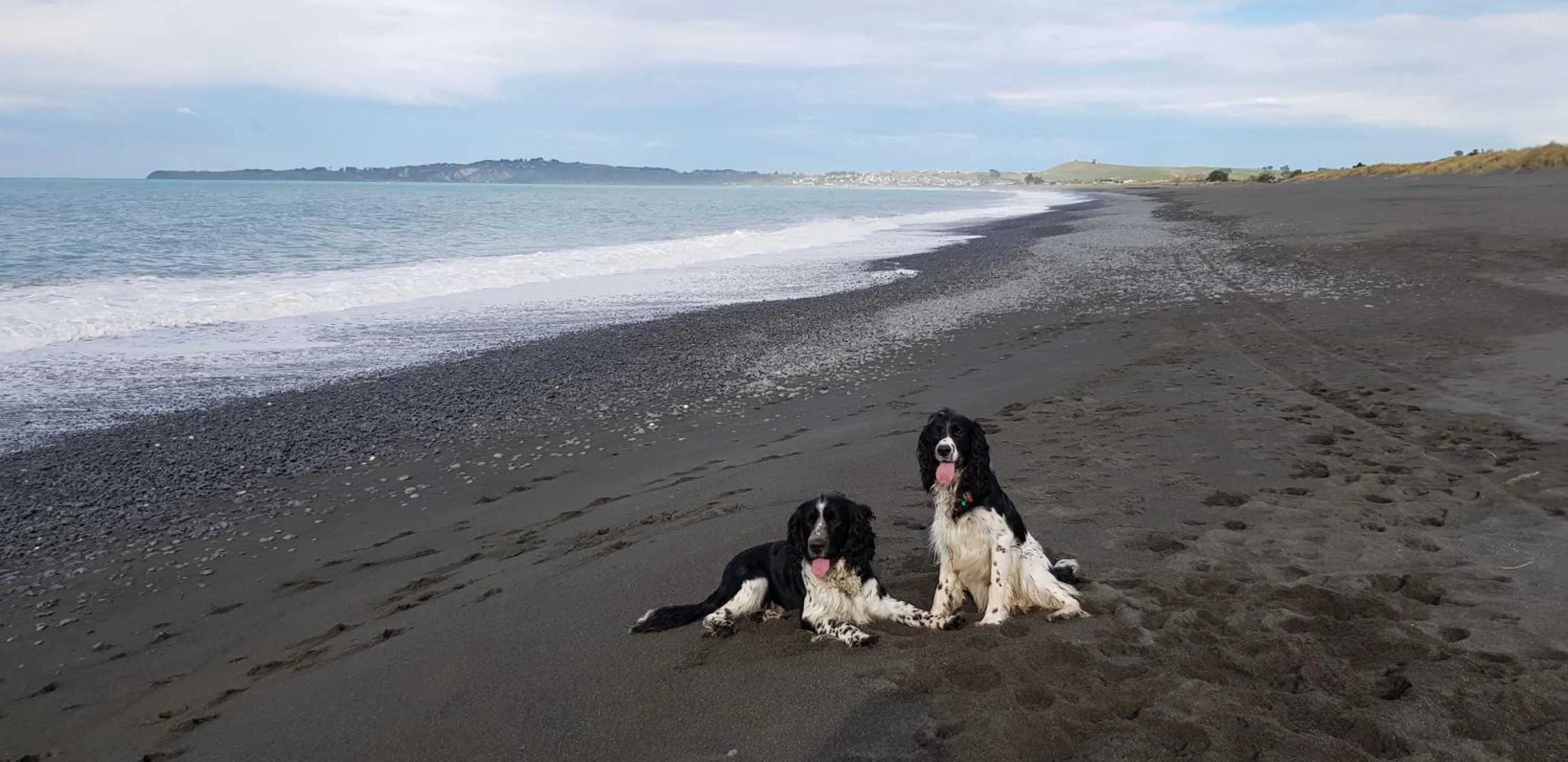 Beach in Awatea Country Bed & Breakfast