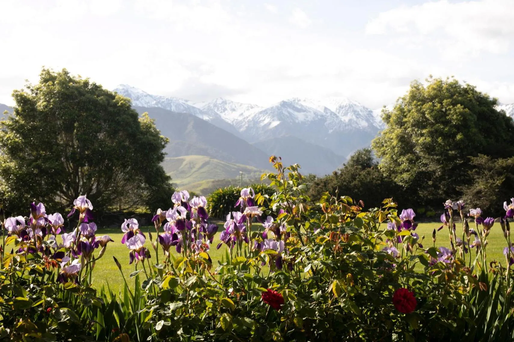 Spring in Awatea Country Bed & Breakfast