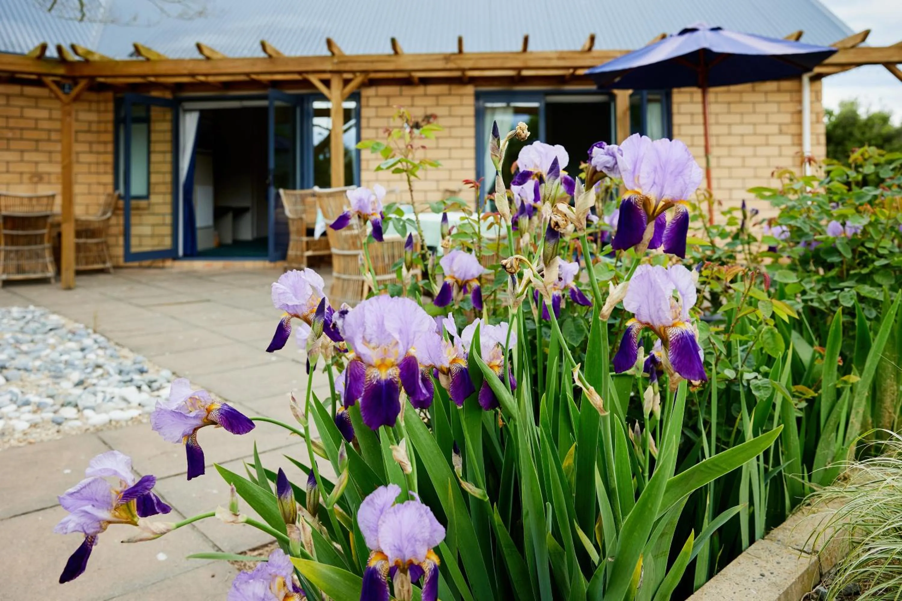 Property building in Awatea Country Bed & Breakfast