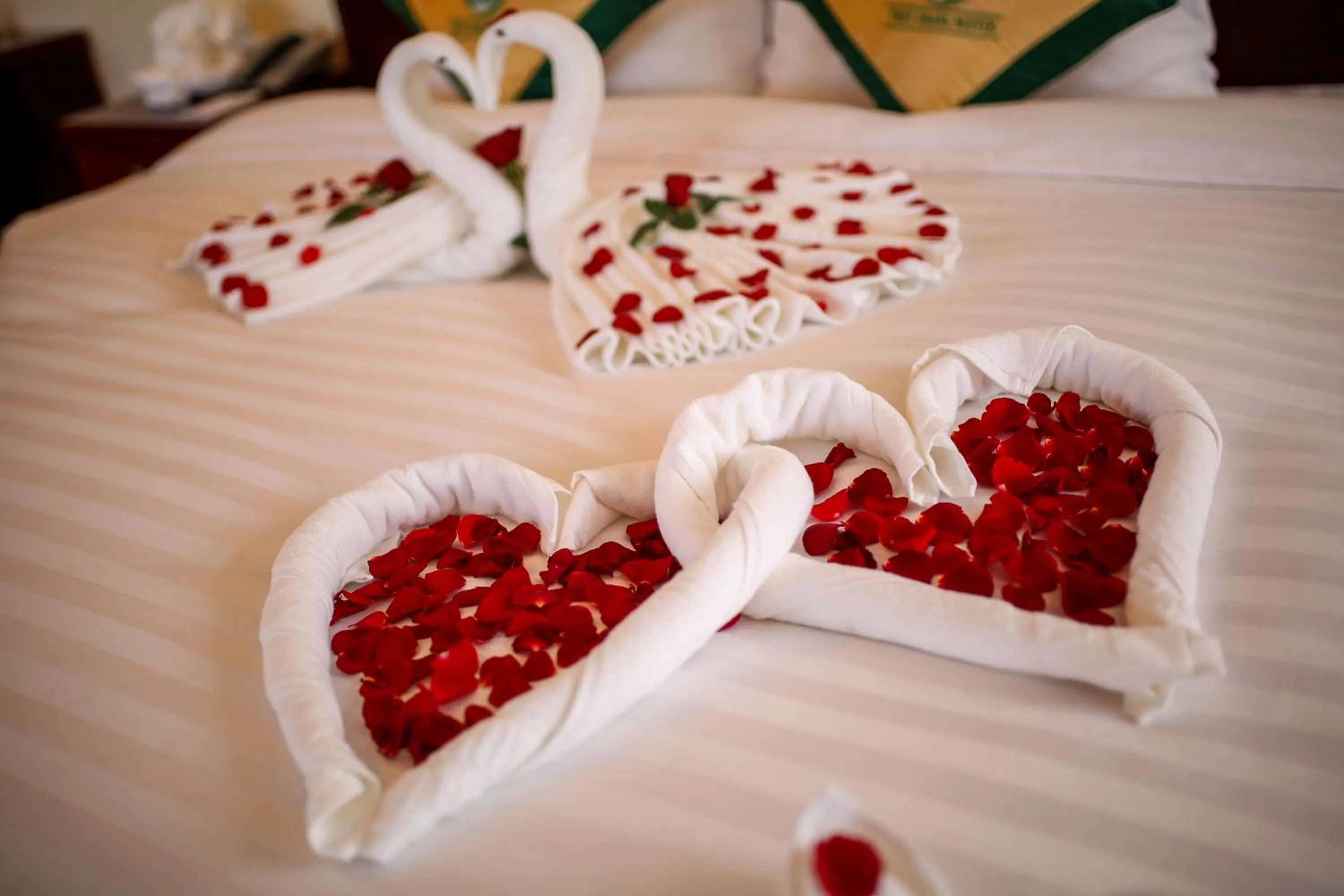 Decorative detail in Thuy Hoang Nguyen Resort & Spa