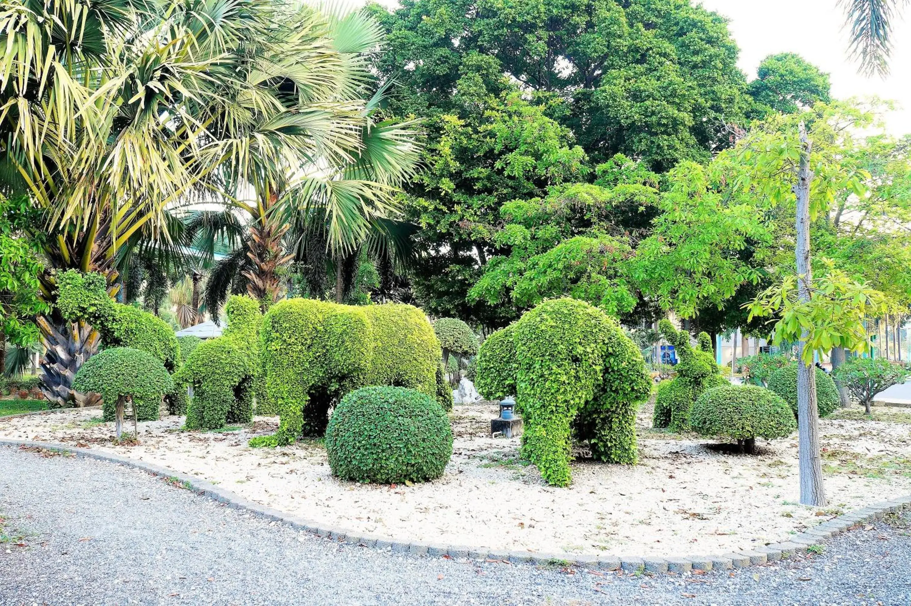 Garden view, Garden in Pattaya Park Beach Resort (SHA Extra Plus)