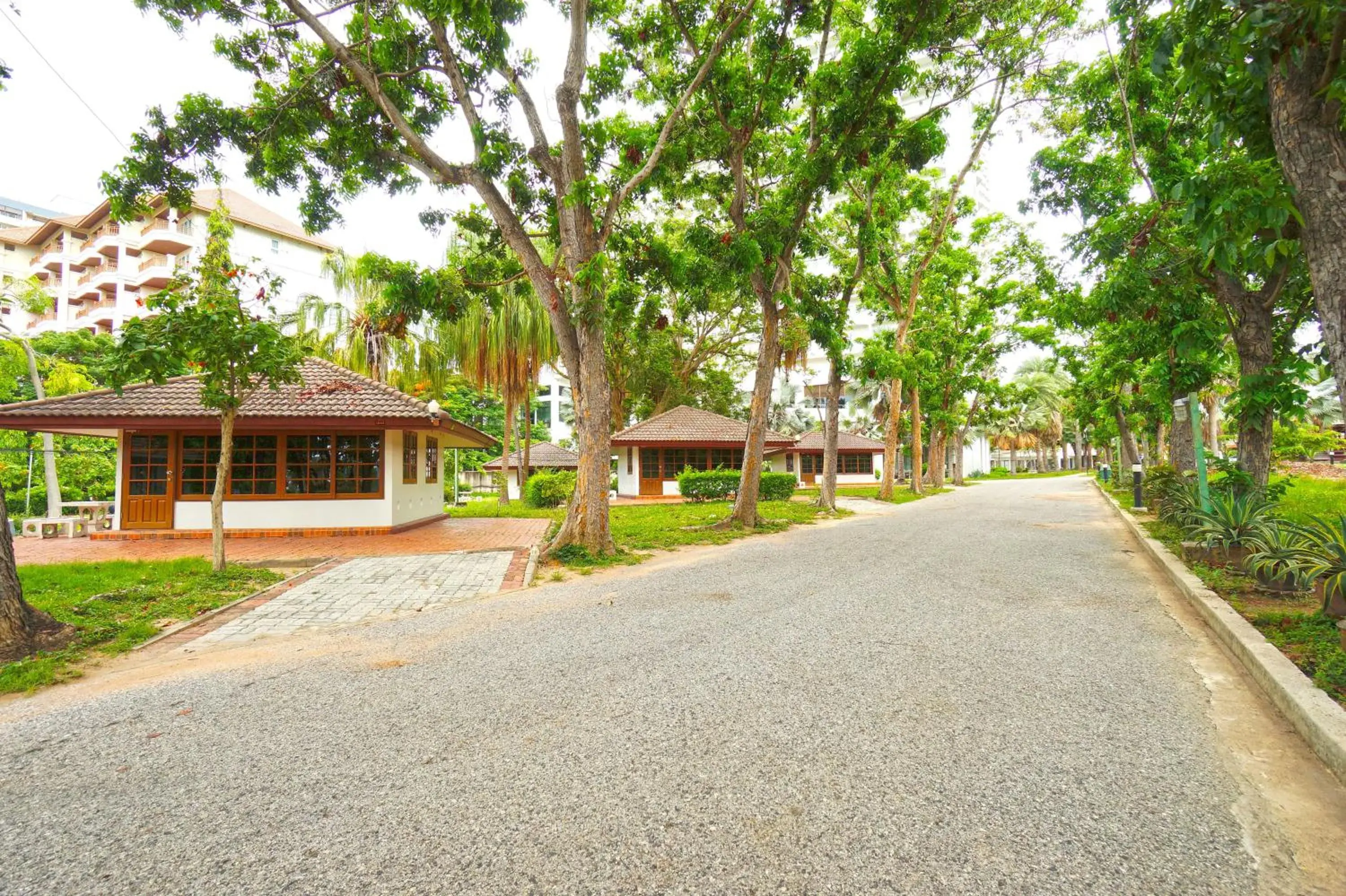 Garden, Property Building in Pattaya Park Beach Resort (SHA Extra Plus)