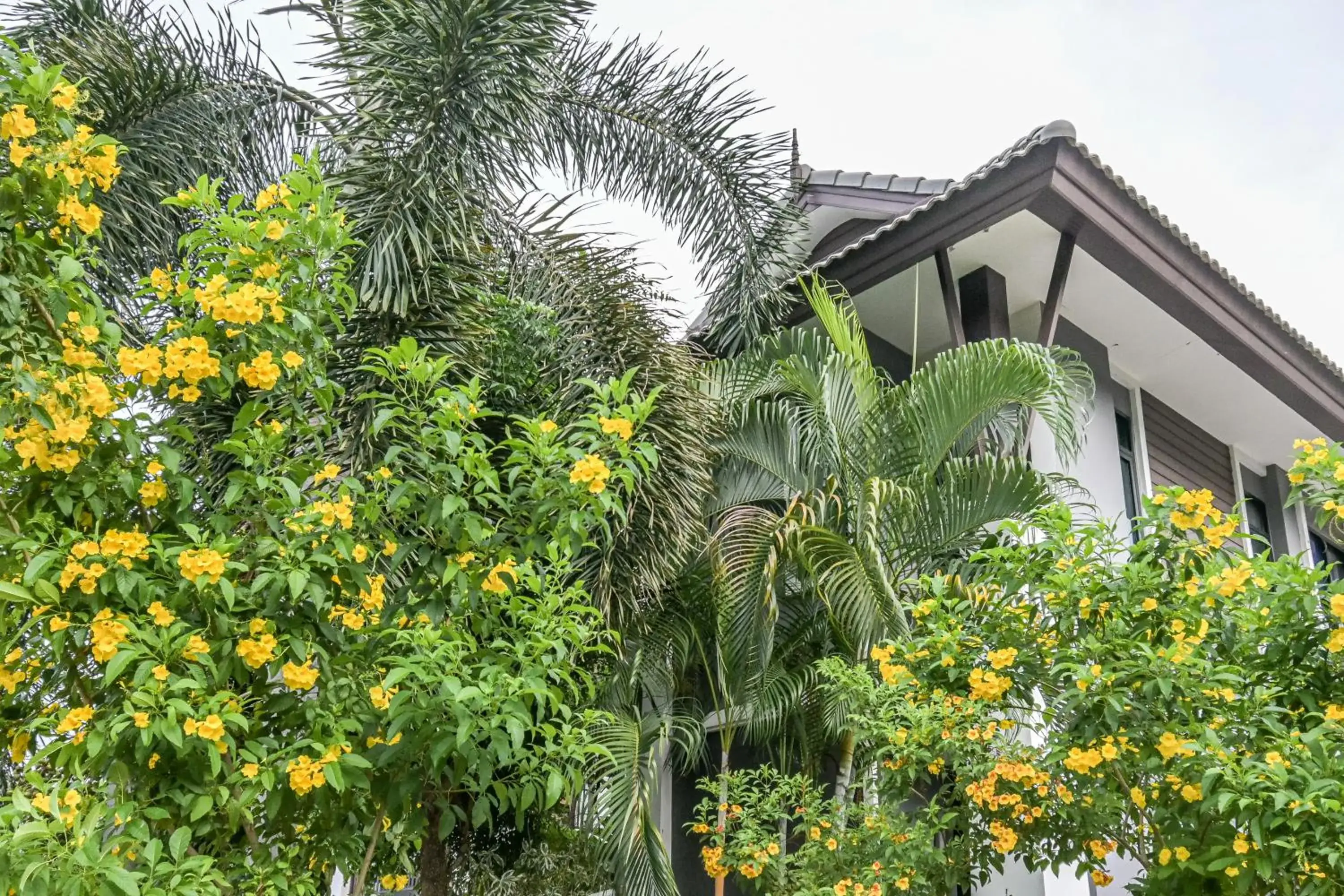 Property building in Baan Kieng Tawan Property building in Baan Kieng Tawan