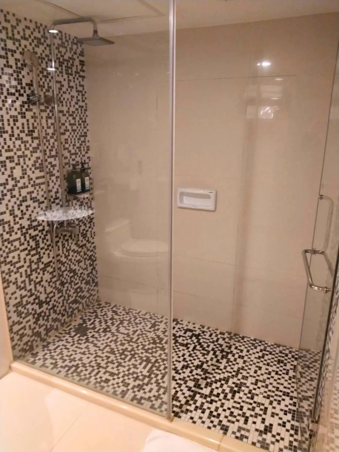 Bathroom in Delton Hotel